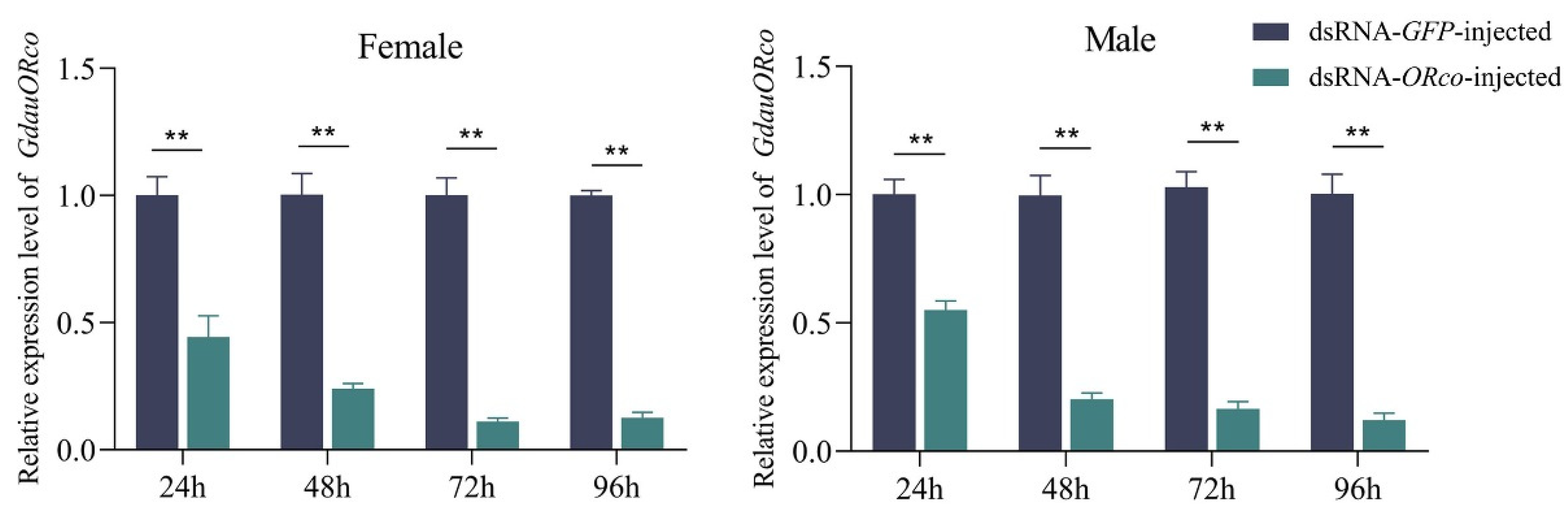 Insects 13 00563 g003