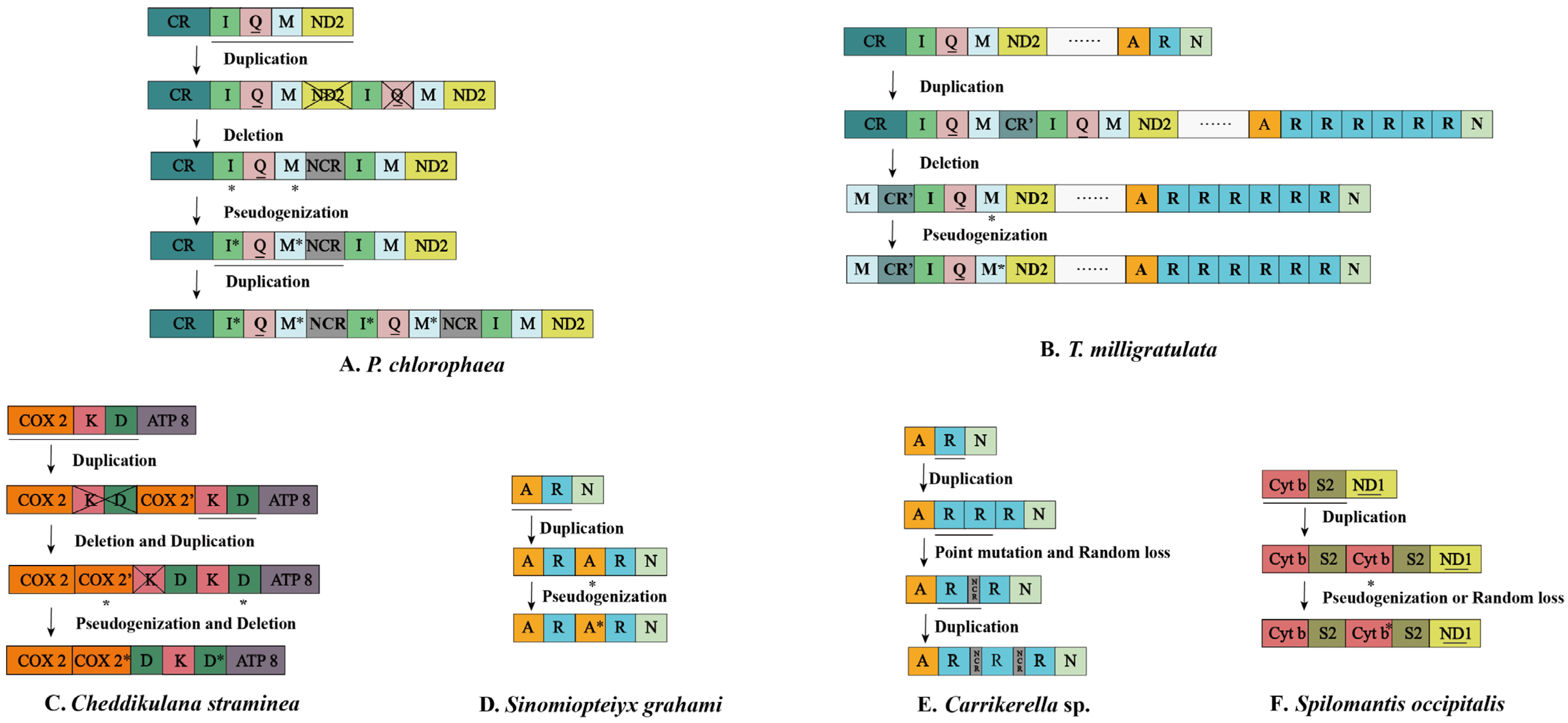 Insects 13 00564 g001 Insects 13 00564 g001