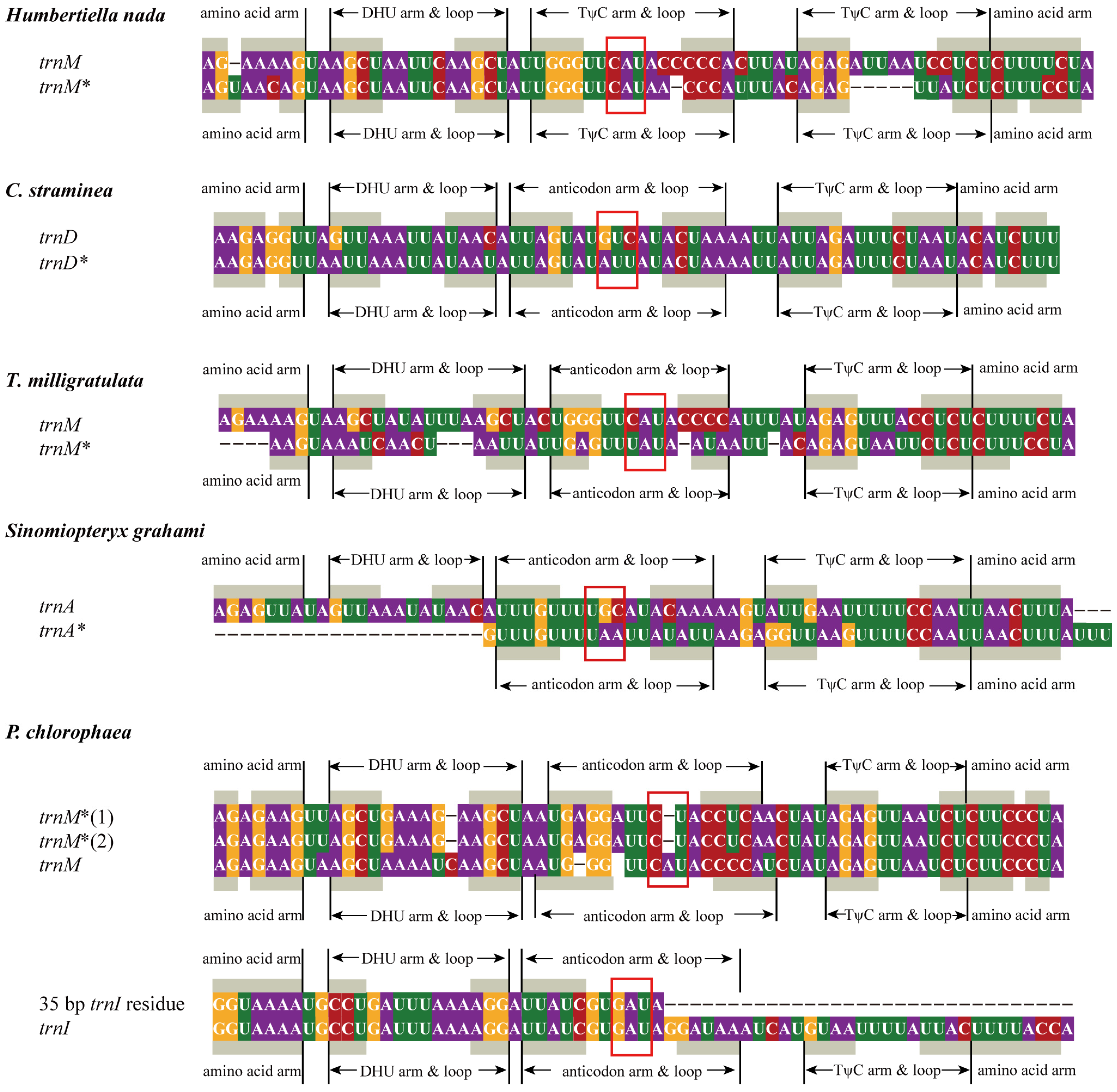 Insects 13 00564 g002 Insects 13 00564 g002