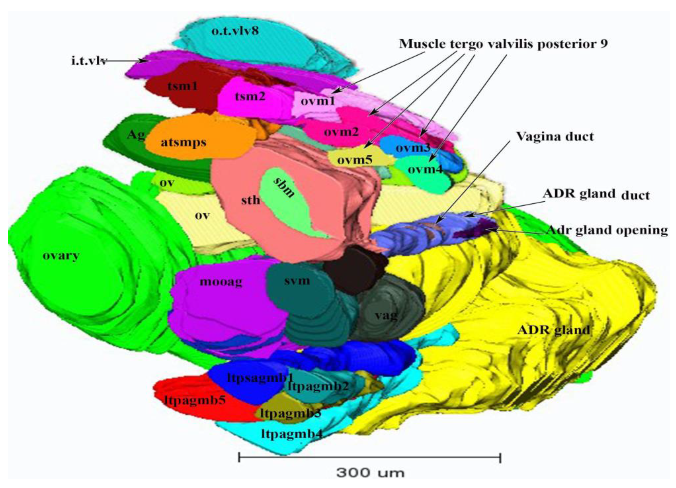 Insects 13 00566 g007