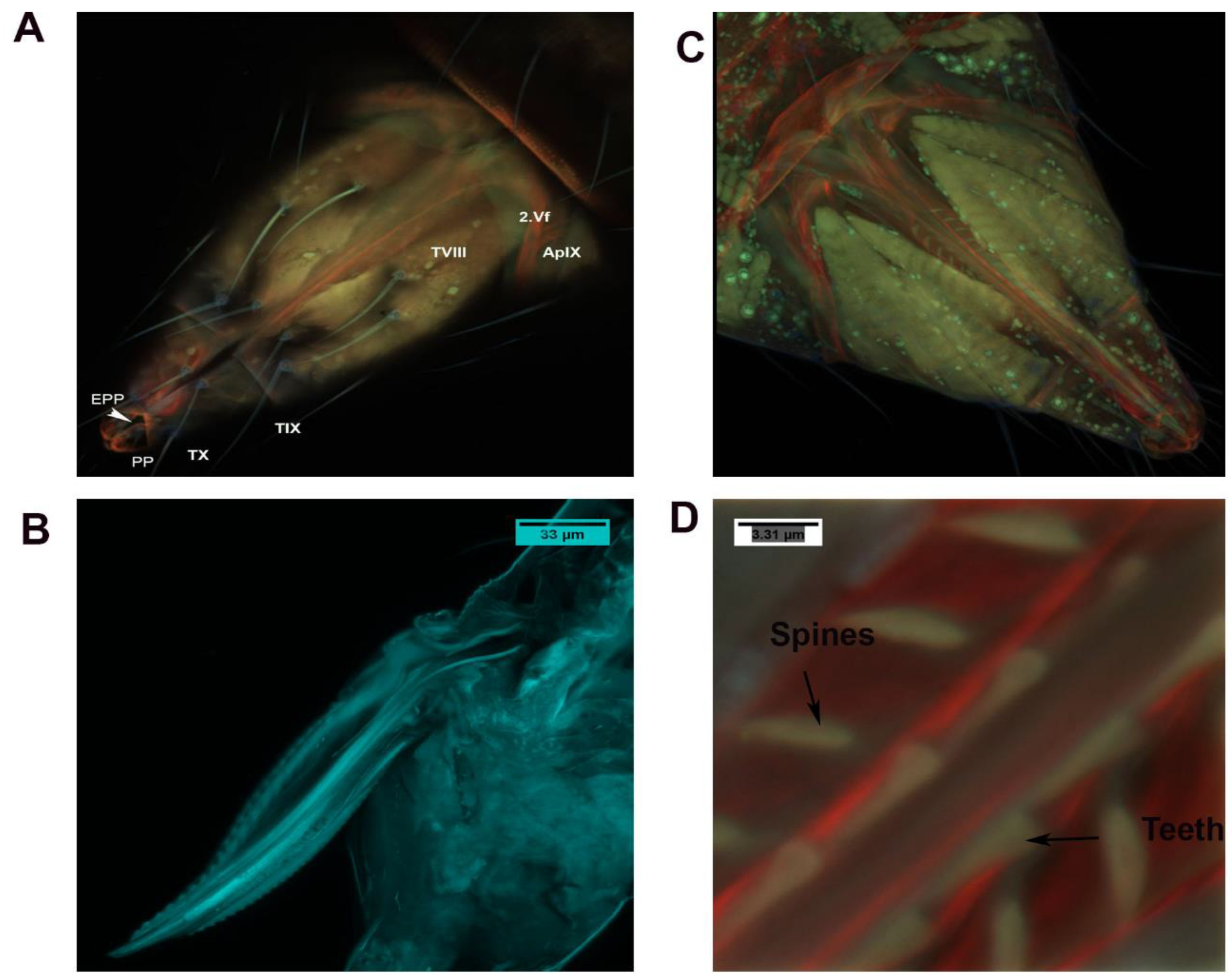 Insects 13 00566 g008