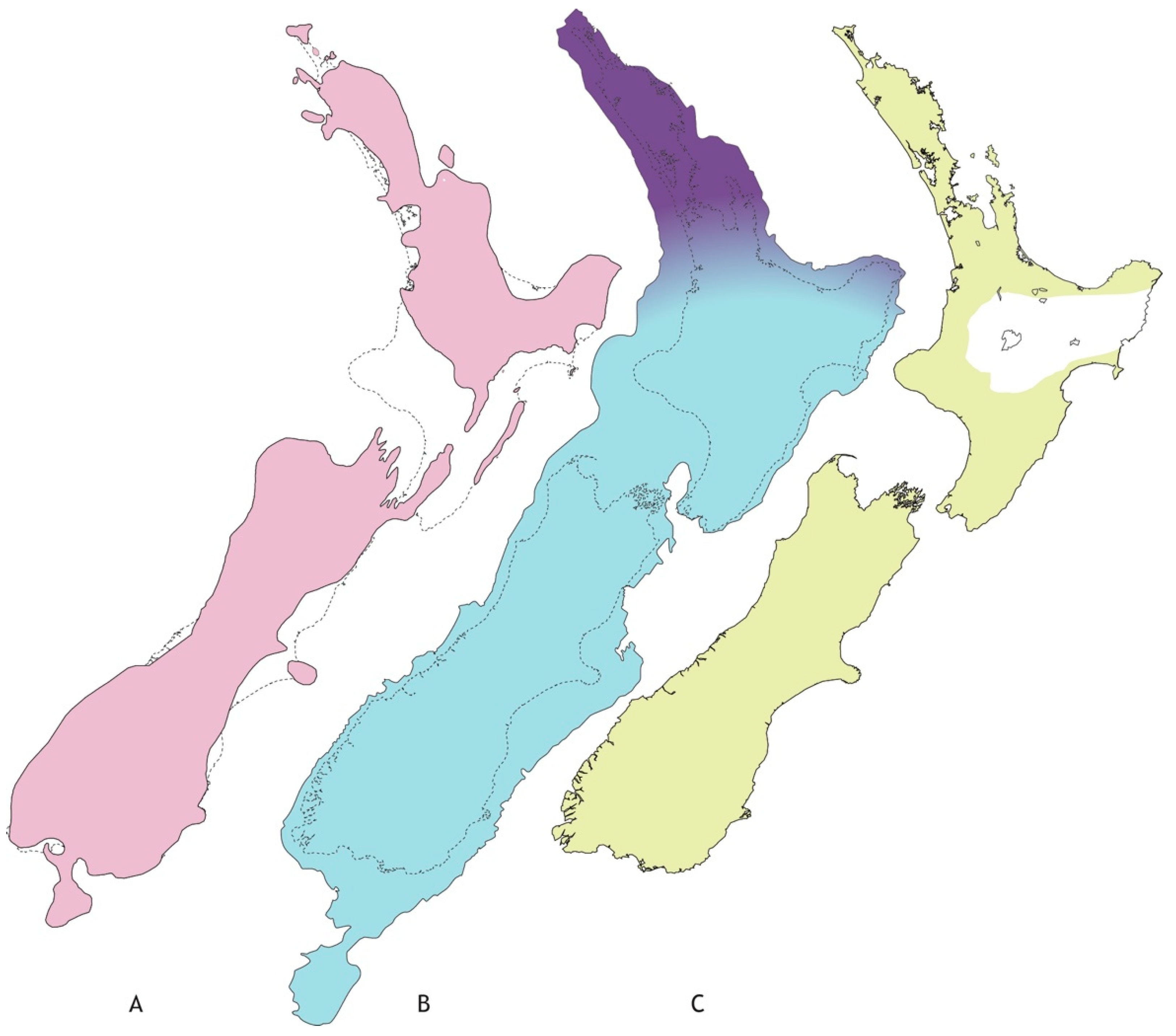 Insects 13 00567 g001