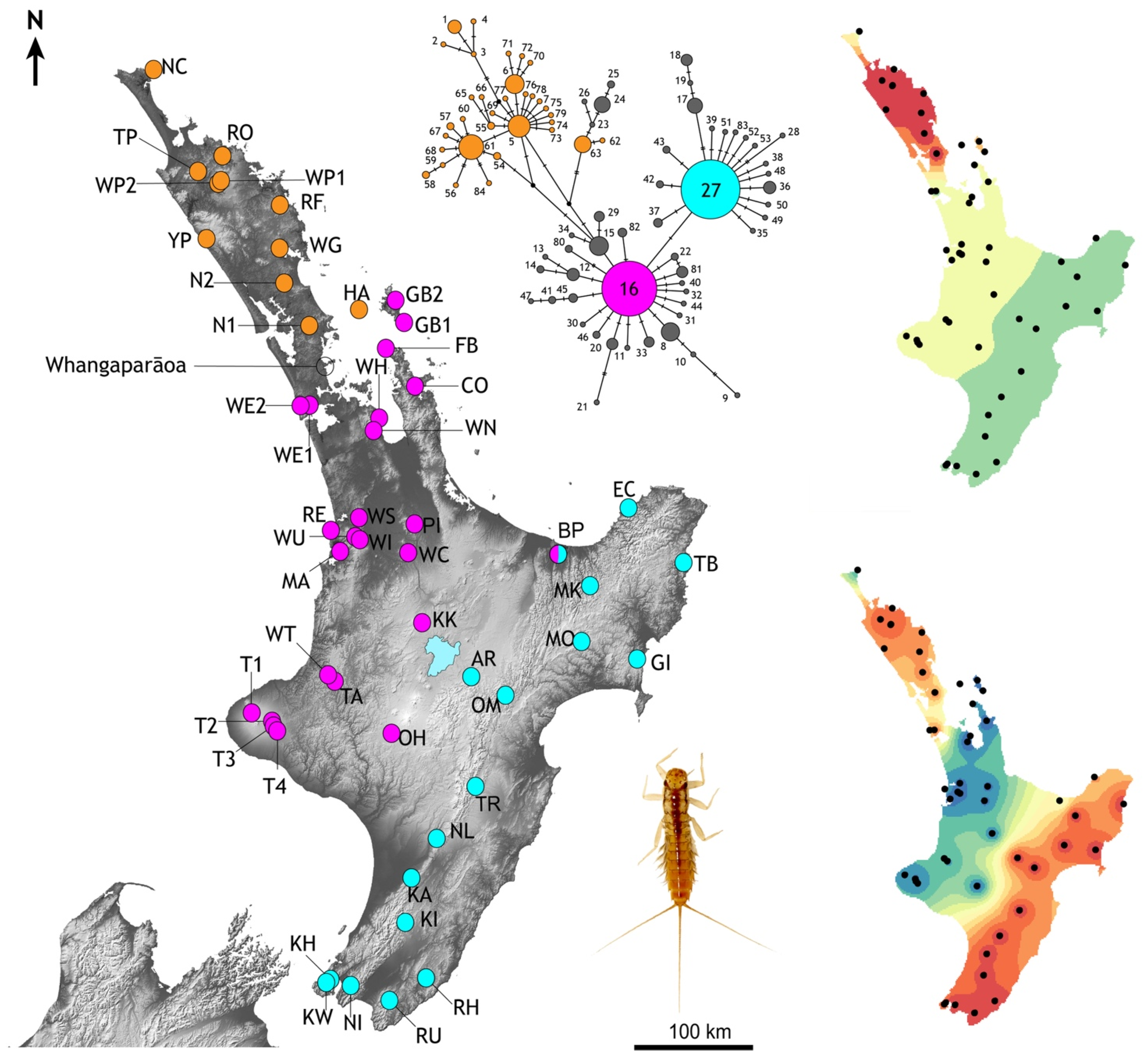 Insects 13 00567 g004
