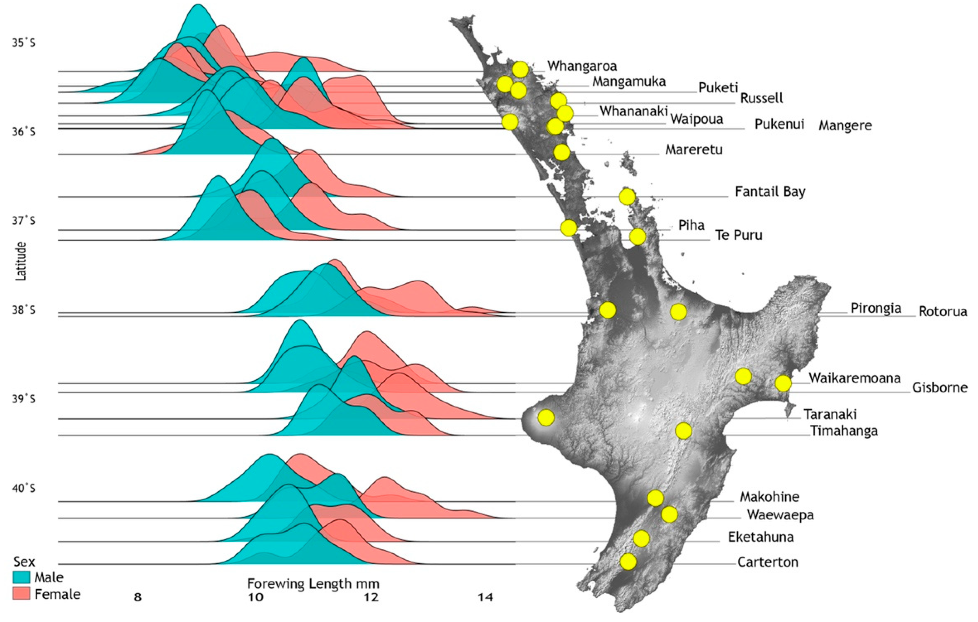 Insects 13 00567 g007