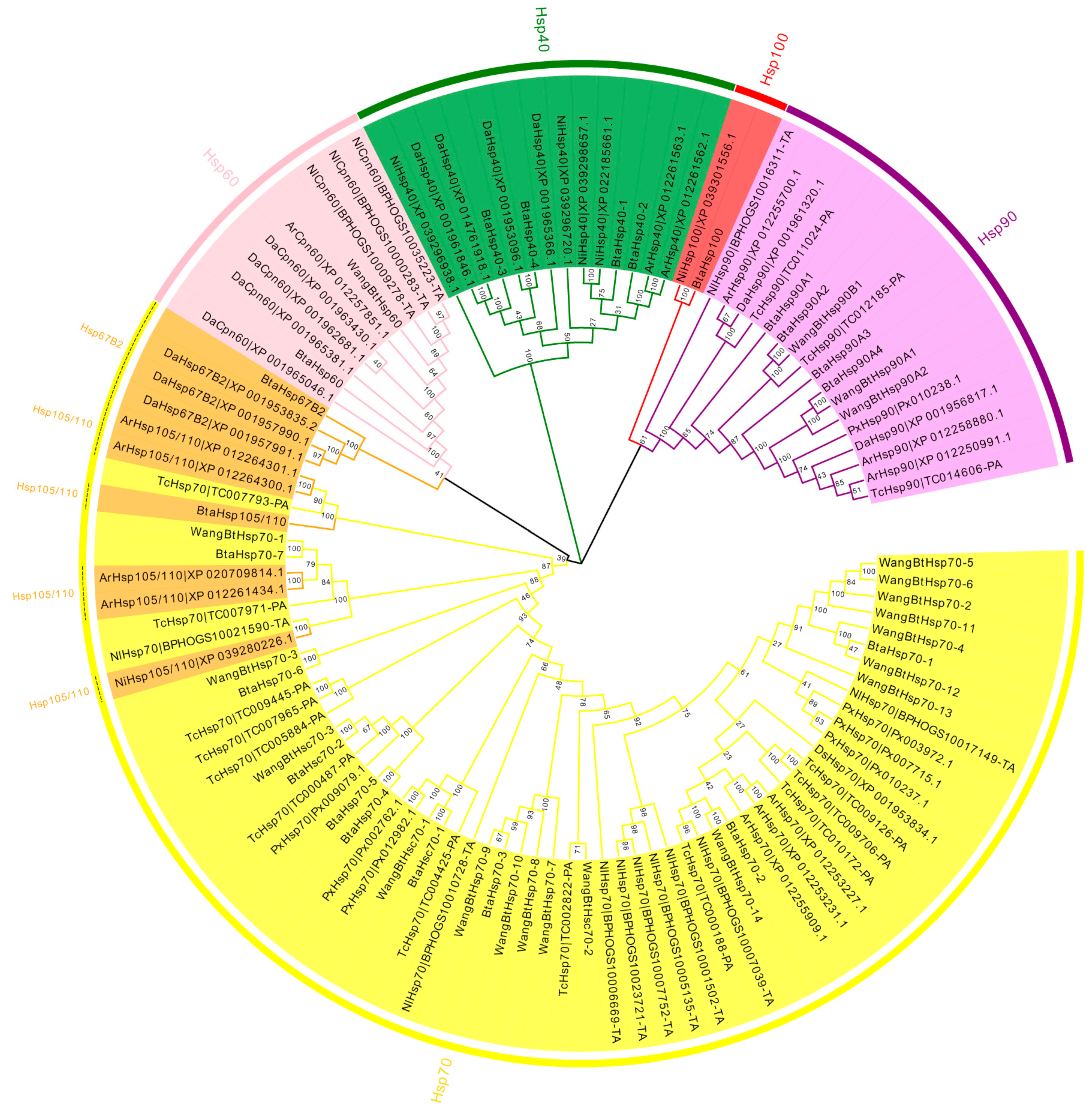 Insects 13 00570 g001