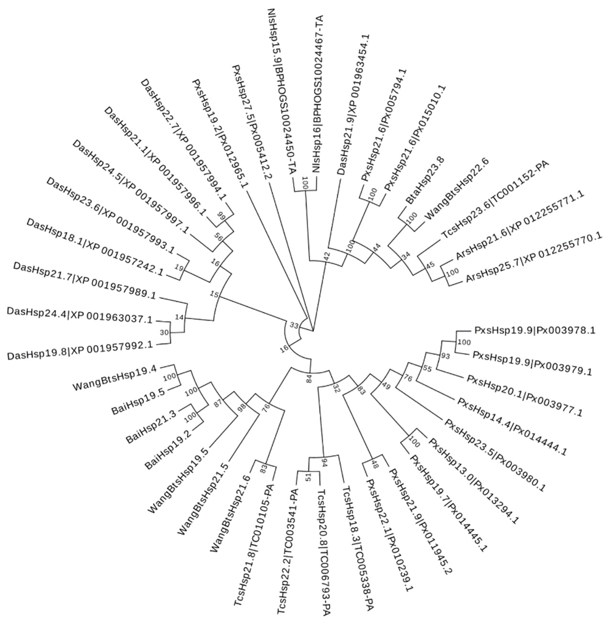 Insects 13 00570 g002