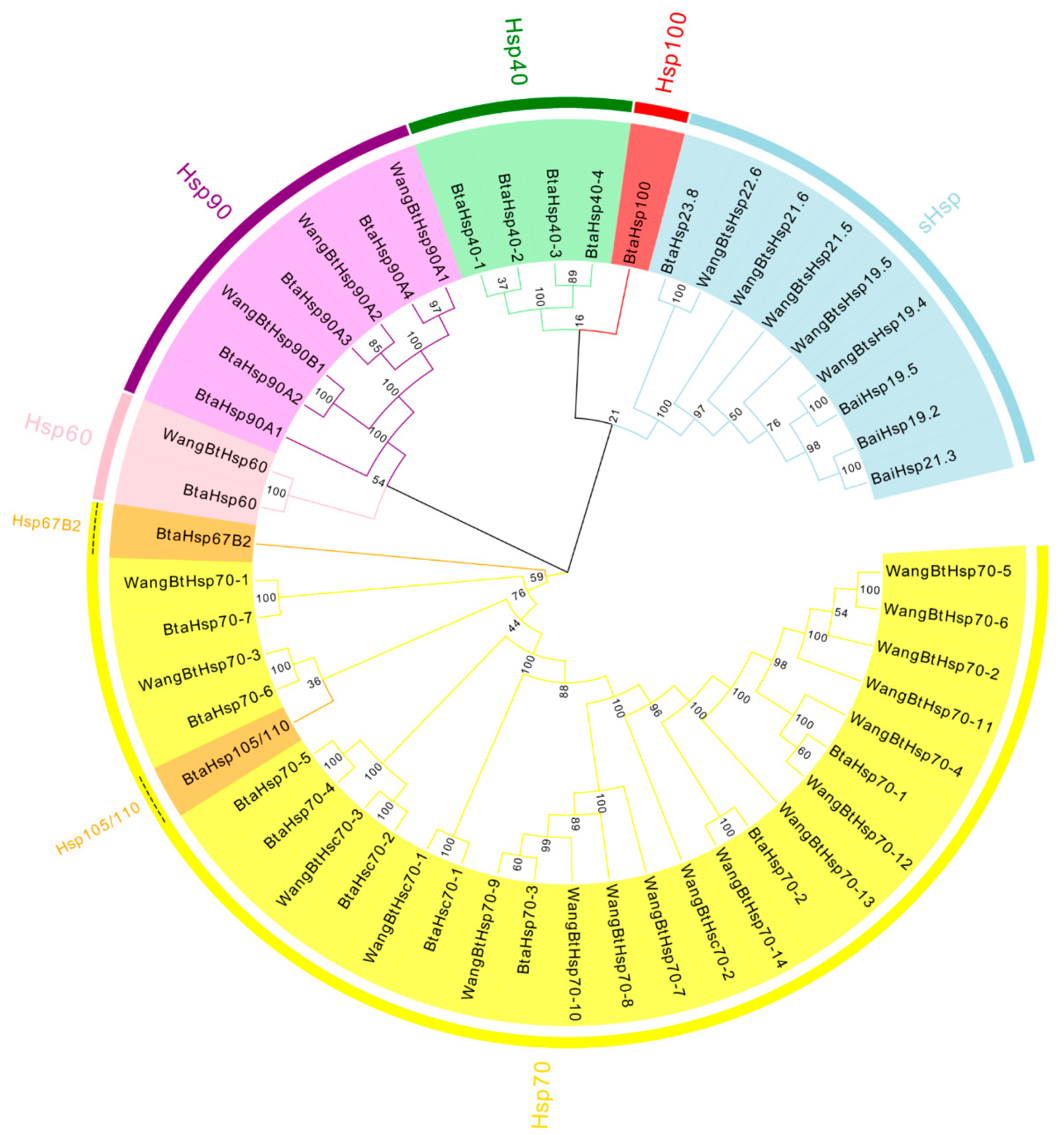 Insects 13 00570 g004
