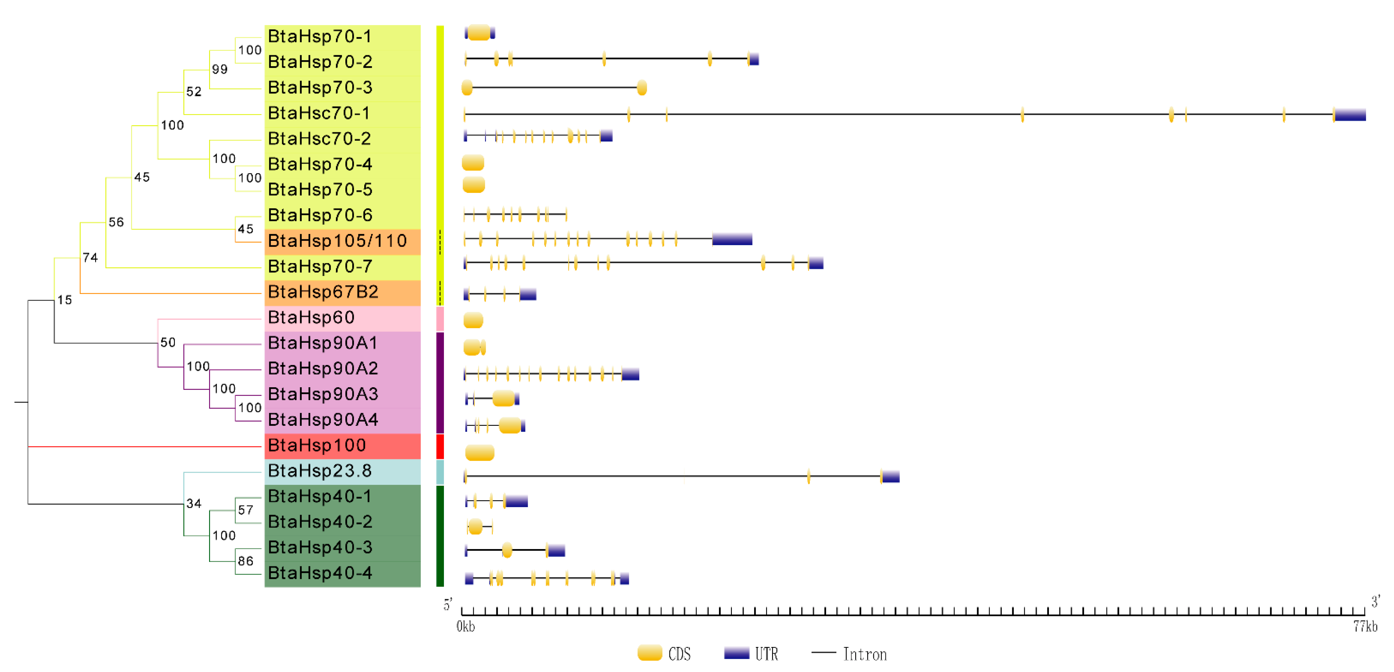 Insects 13 00570 g005
