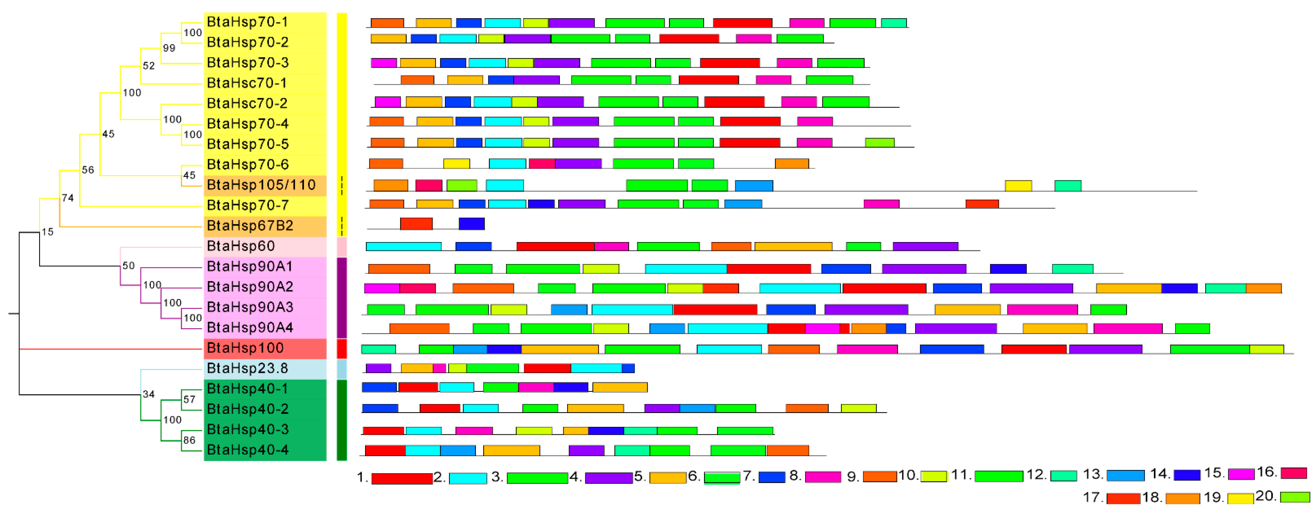 Insects 13 00570 g006