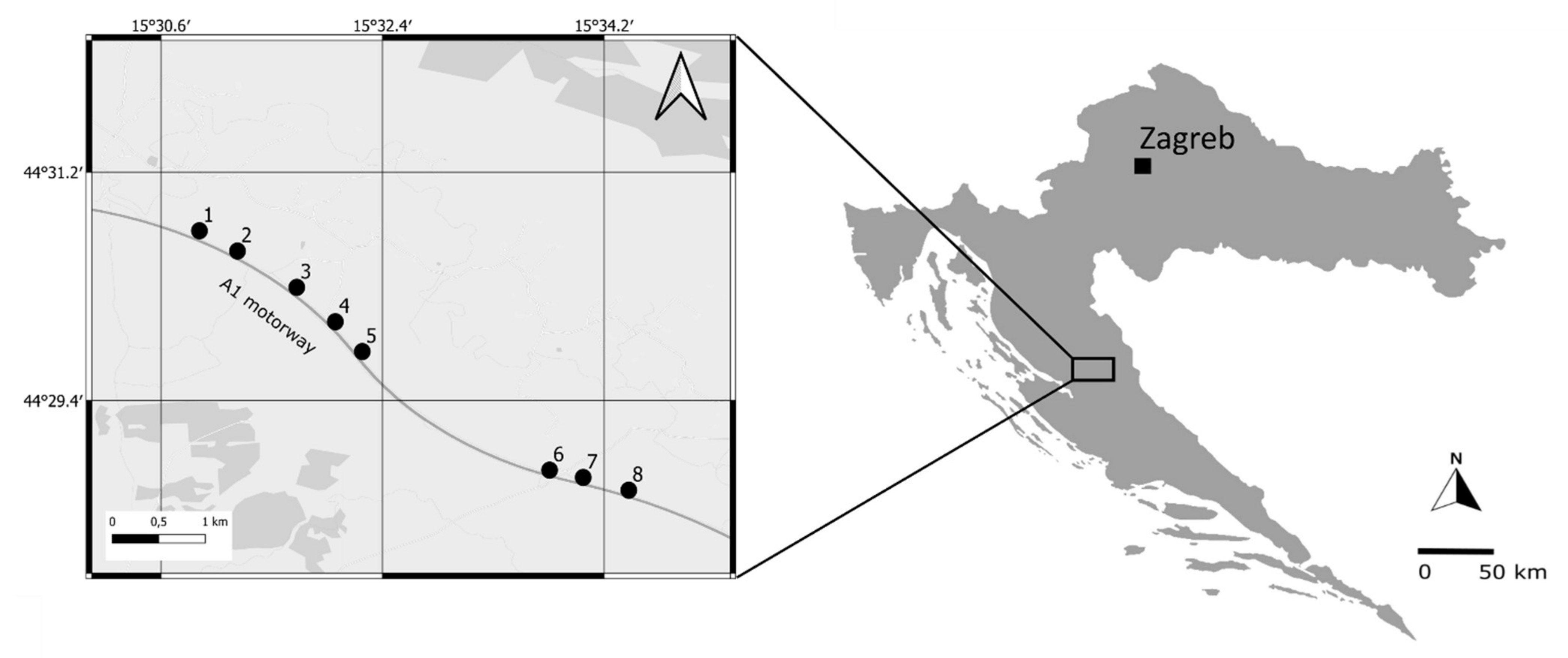 Insects 13 00572 g001