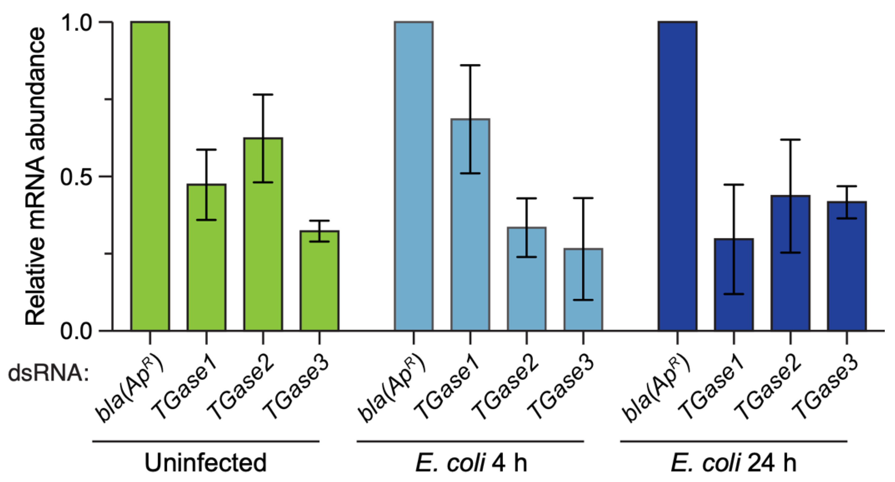 Insects 13 00582 g001