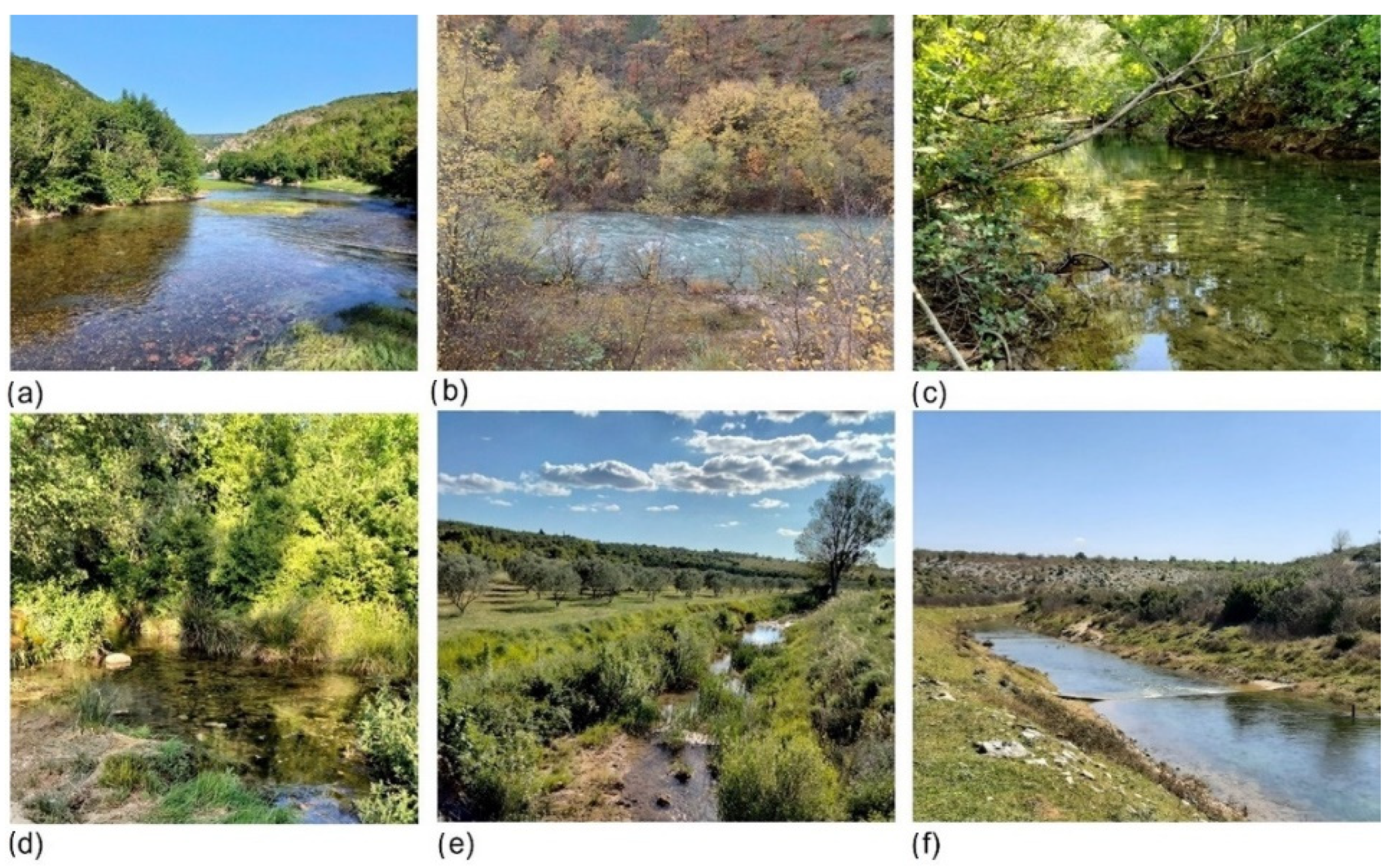 Insects 13 00584 g001