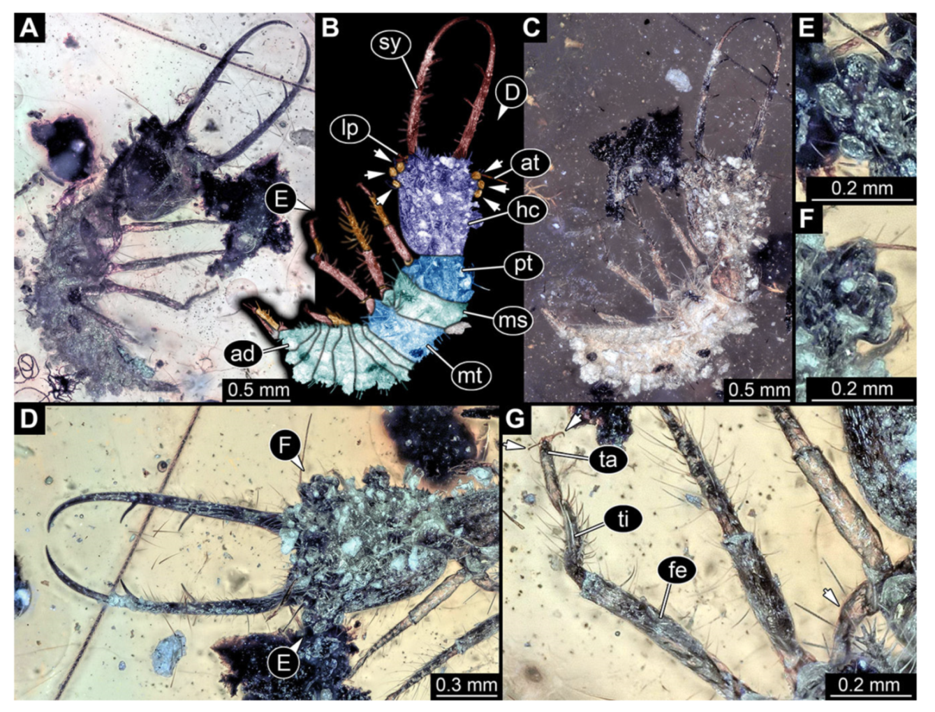 Insects 13 00587 g009 Insects 13 00587 g009