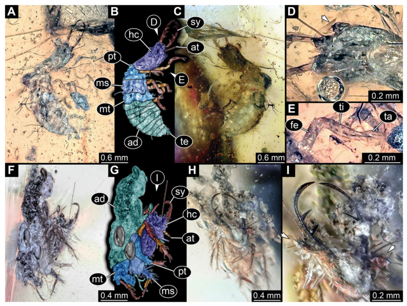 Insects 13 00587 g013 Insects 13 00587 g013