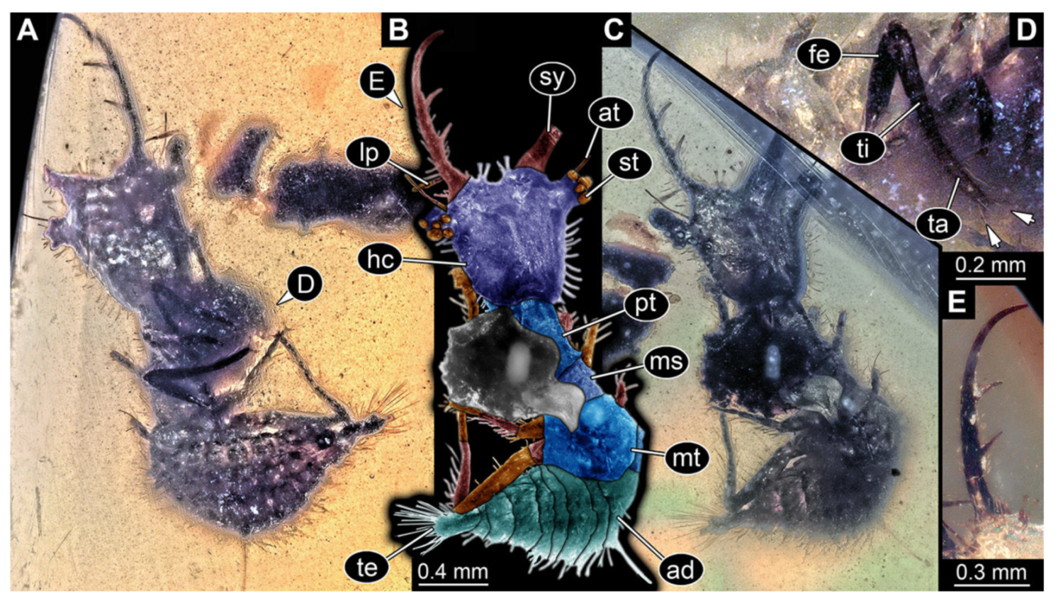 Insects 13 00587 g019 Insects 13 00587 g019