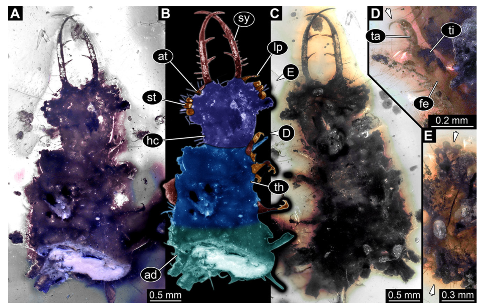 Insects 13 00587 g020 Insects 13 00587 g020