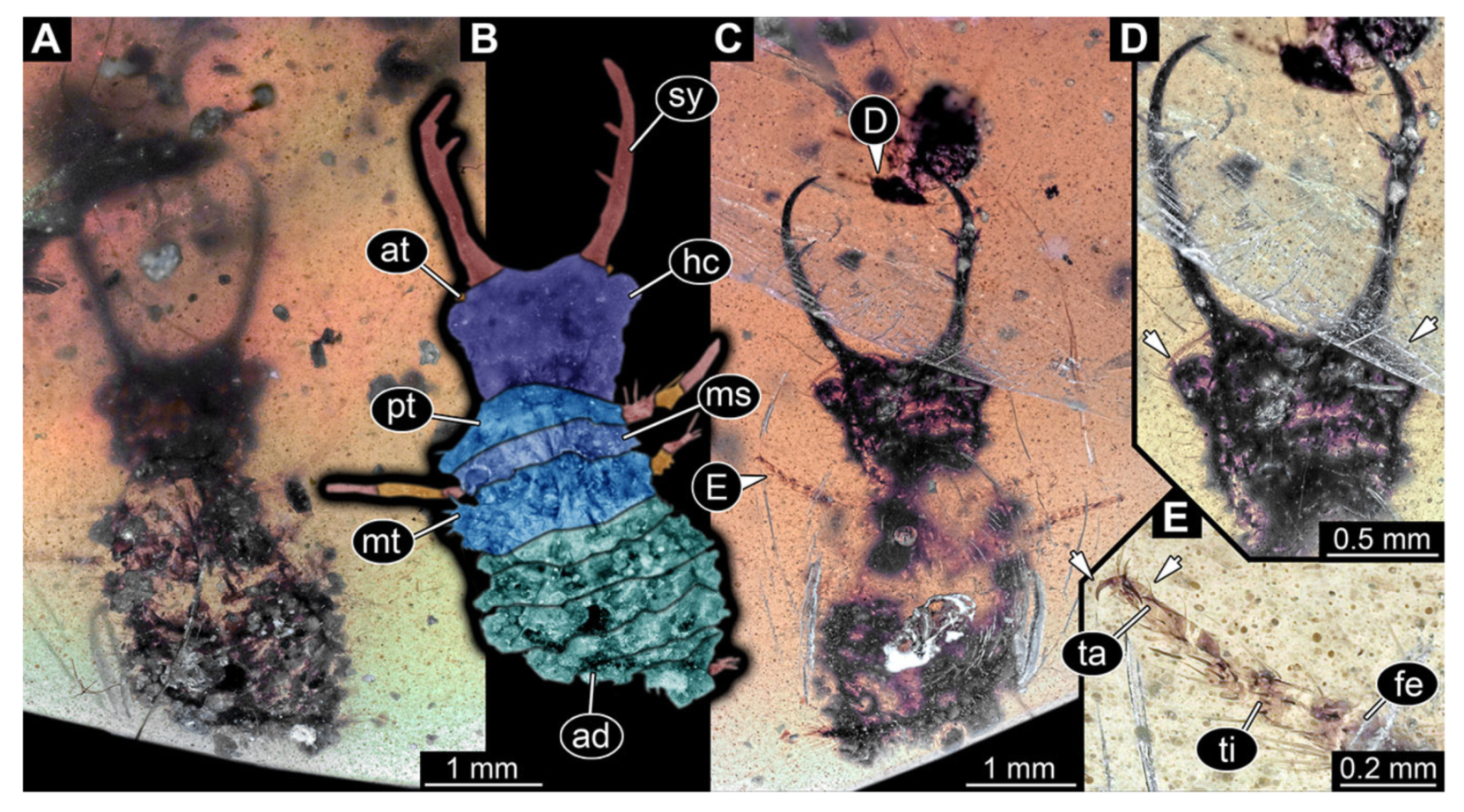 Insects 13 00587 g022 Insects 13 00587 g022