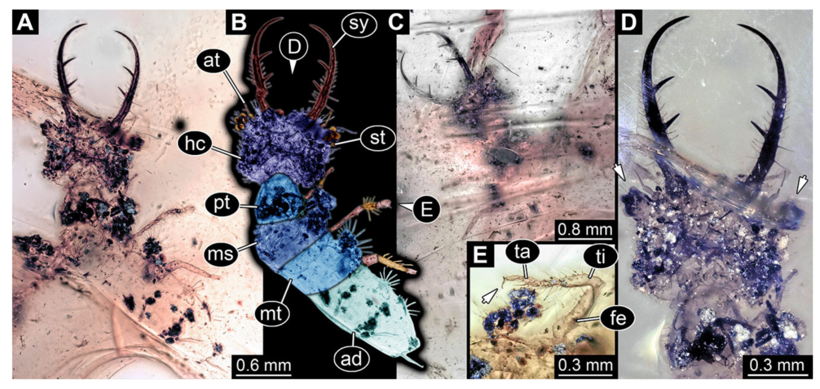 Insects 13 00587 g026 Insects 13 00587 g026