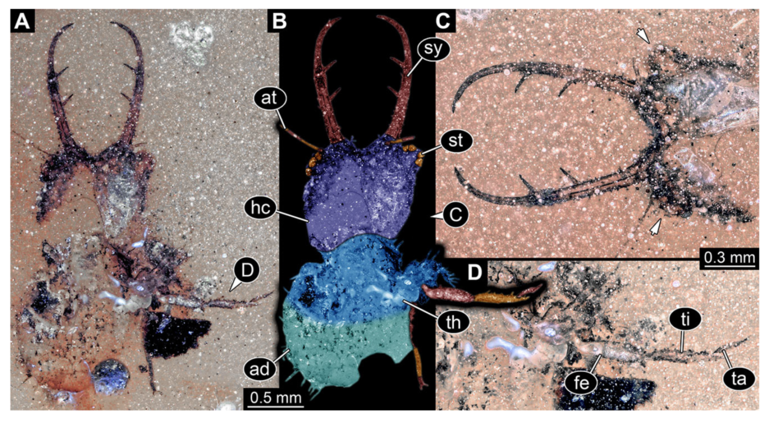 Insects 13 00587 g028 Insects 13 00587 g028