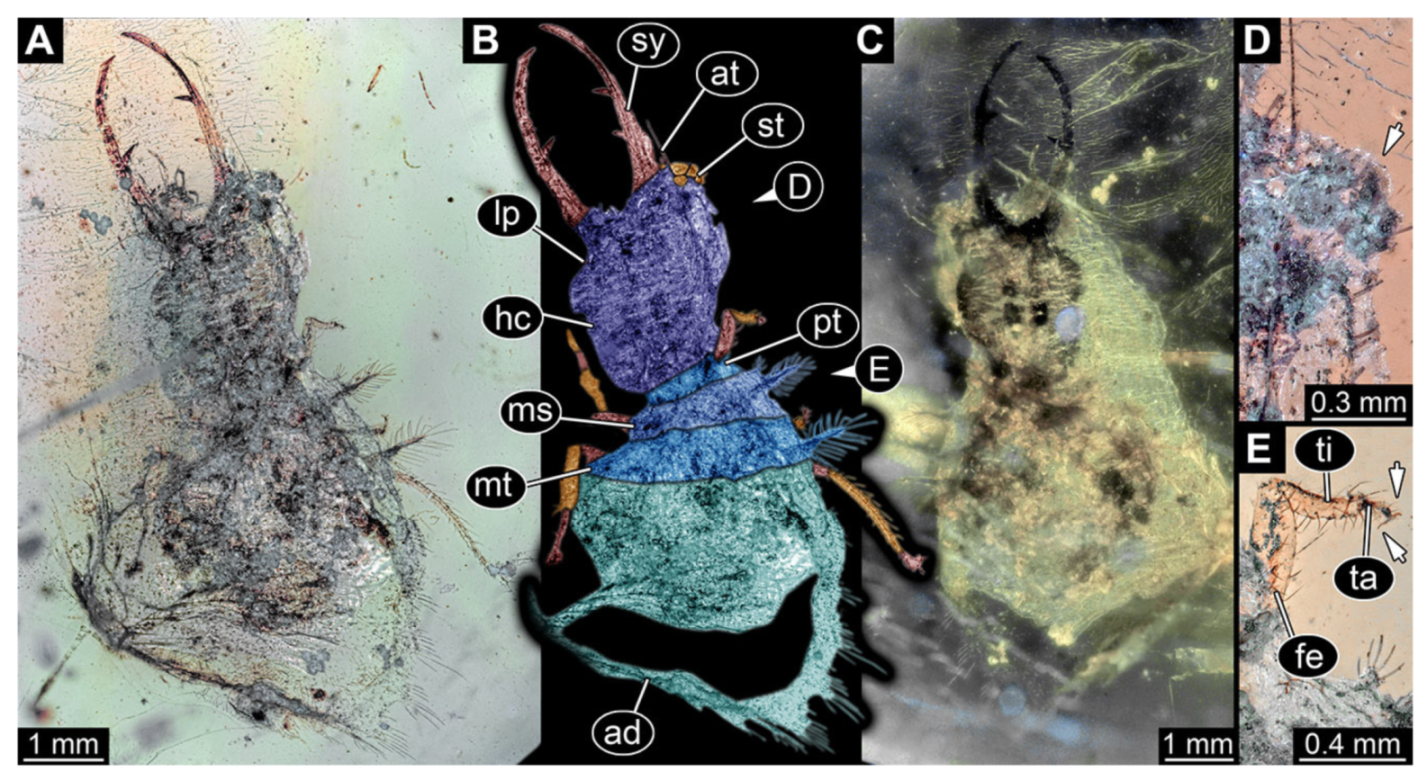 Insects 13 00587 g031 Insects 13 00587 g031