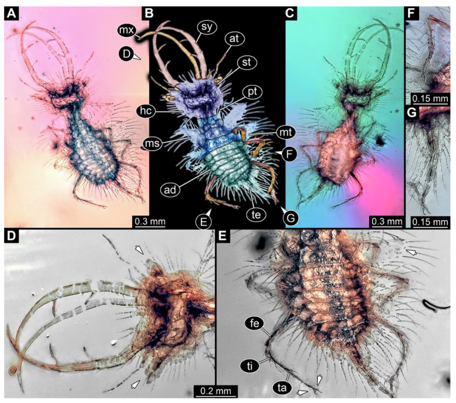 Insects 13 00587 g032 Insects 13 00587 g032