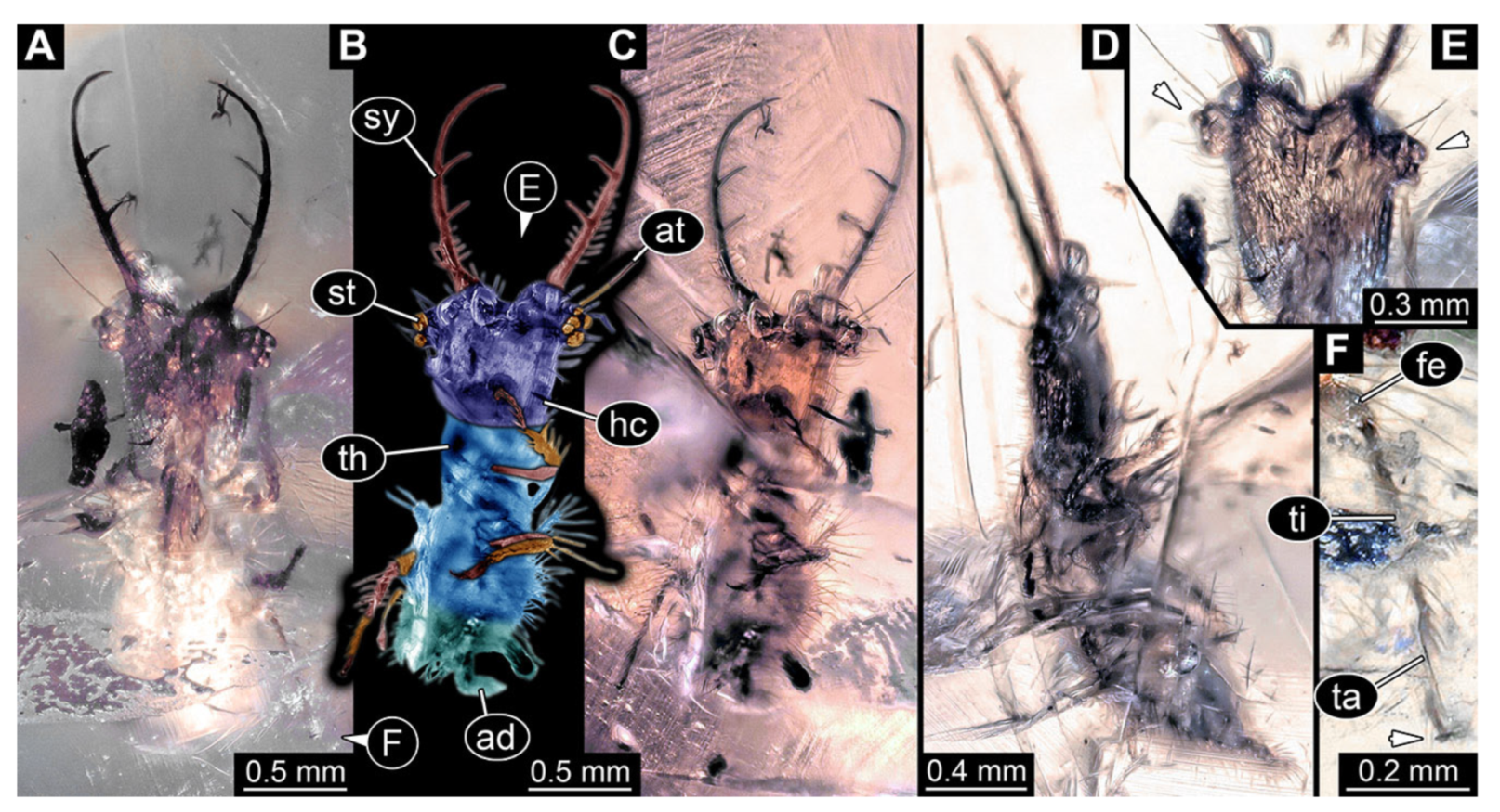 Insects 13 00587 g033 Insects 13 00587 g033
