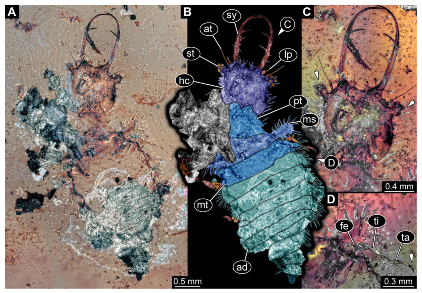 Insects 13 00587 g034 Insects 13 00587 g034
