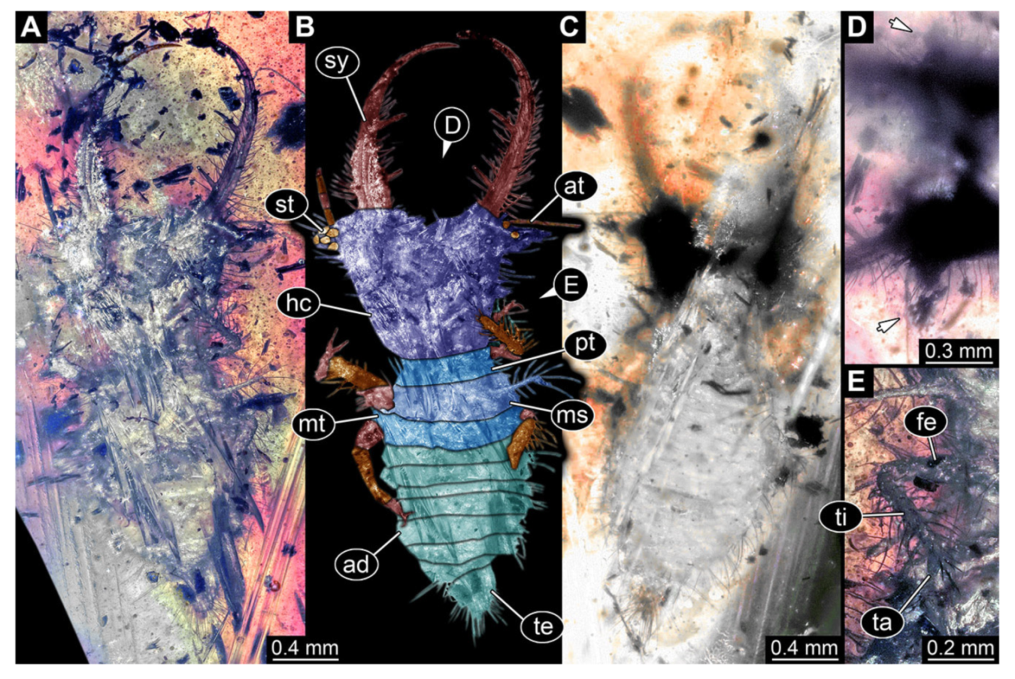 Insects 13 00587 g036 Insects 13 00587 g036