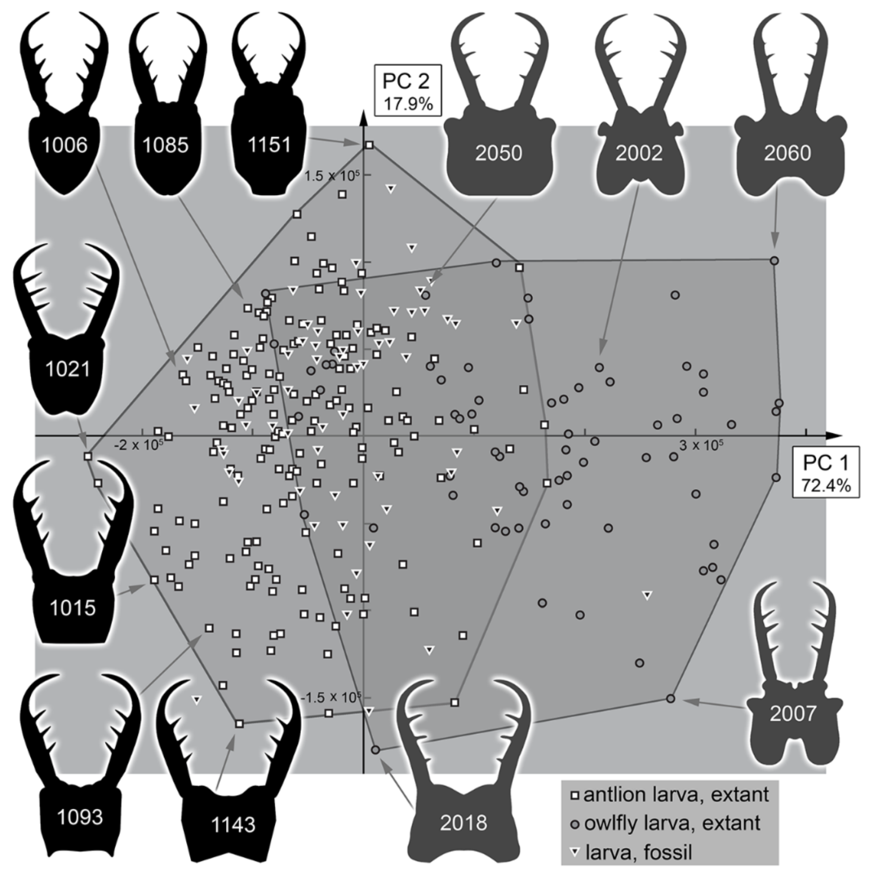 Insects 13 00587 g037 Insects 13 00587 g037