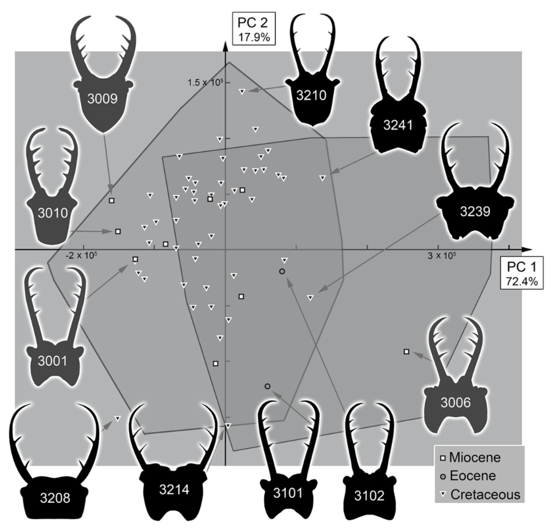 Insects 13 00587 g038 Insects 13 00587 g038