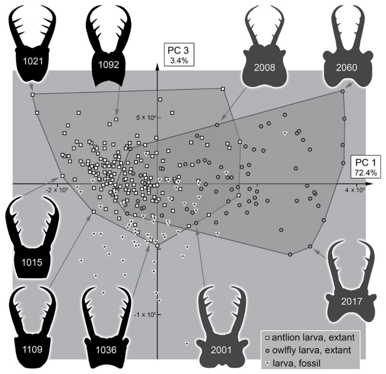 Insects 13 00587 g039 Insects 13 00587 g039