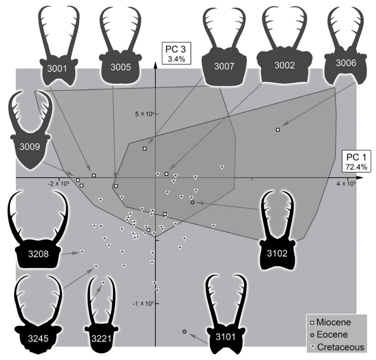 Insects 13 00587 g040 Insects 13 00587 g040