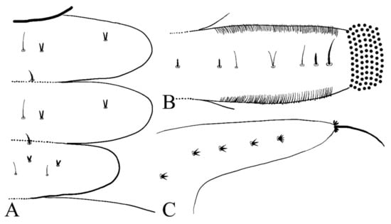 Insects 13 00593 g008 550