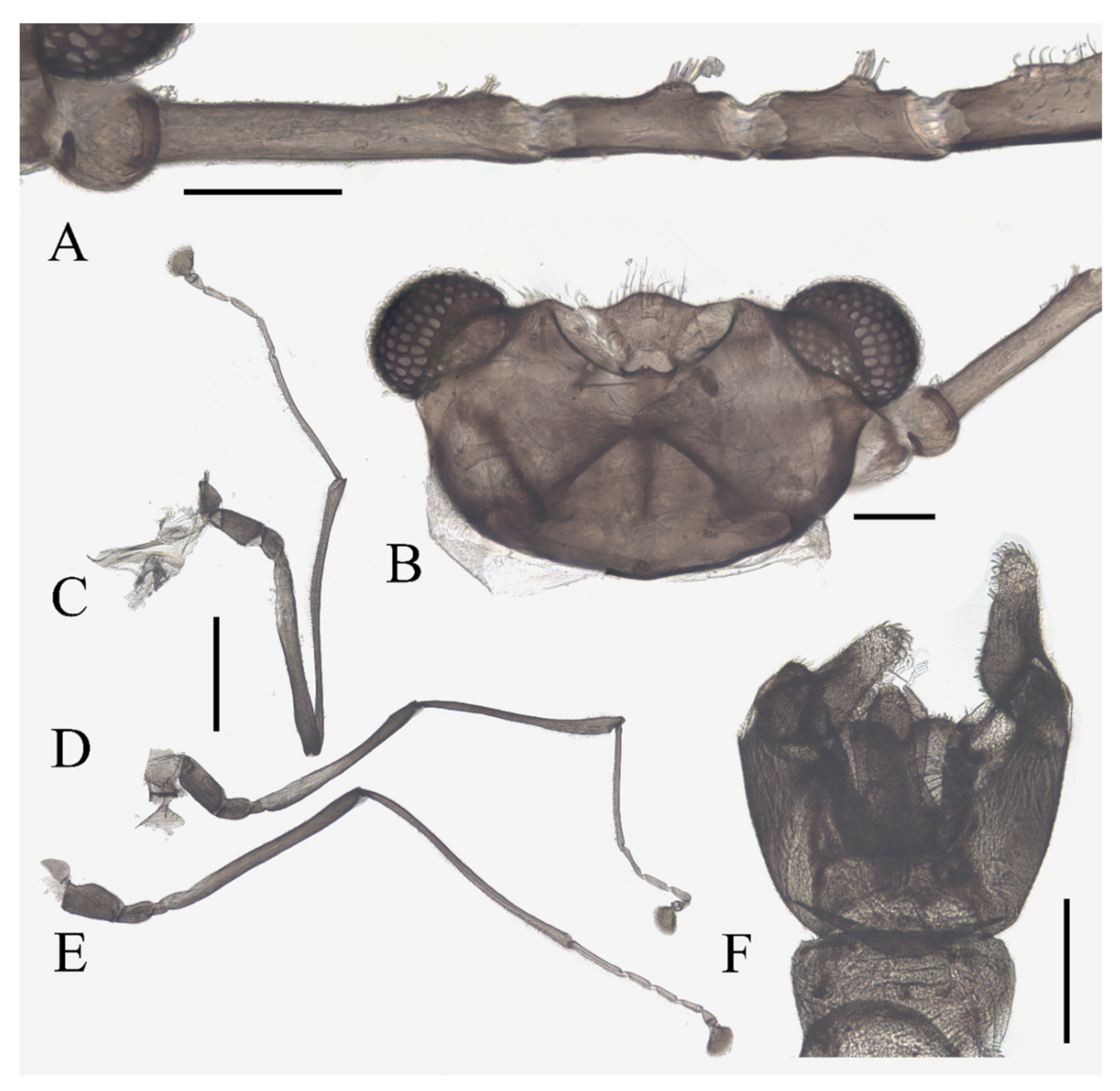 Insects 13 00593 g009