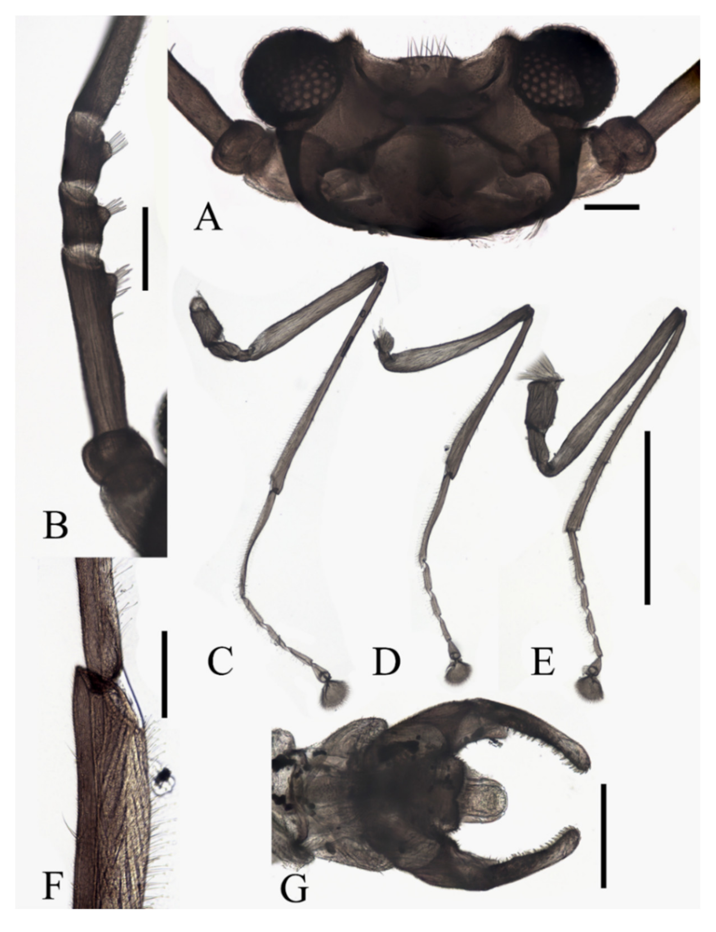 Insects 13 00593 g017