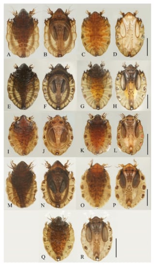 Insects 13 00593 g023 550