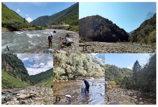 Insects 13 00593 g024 550