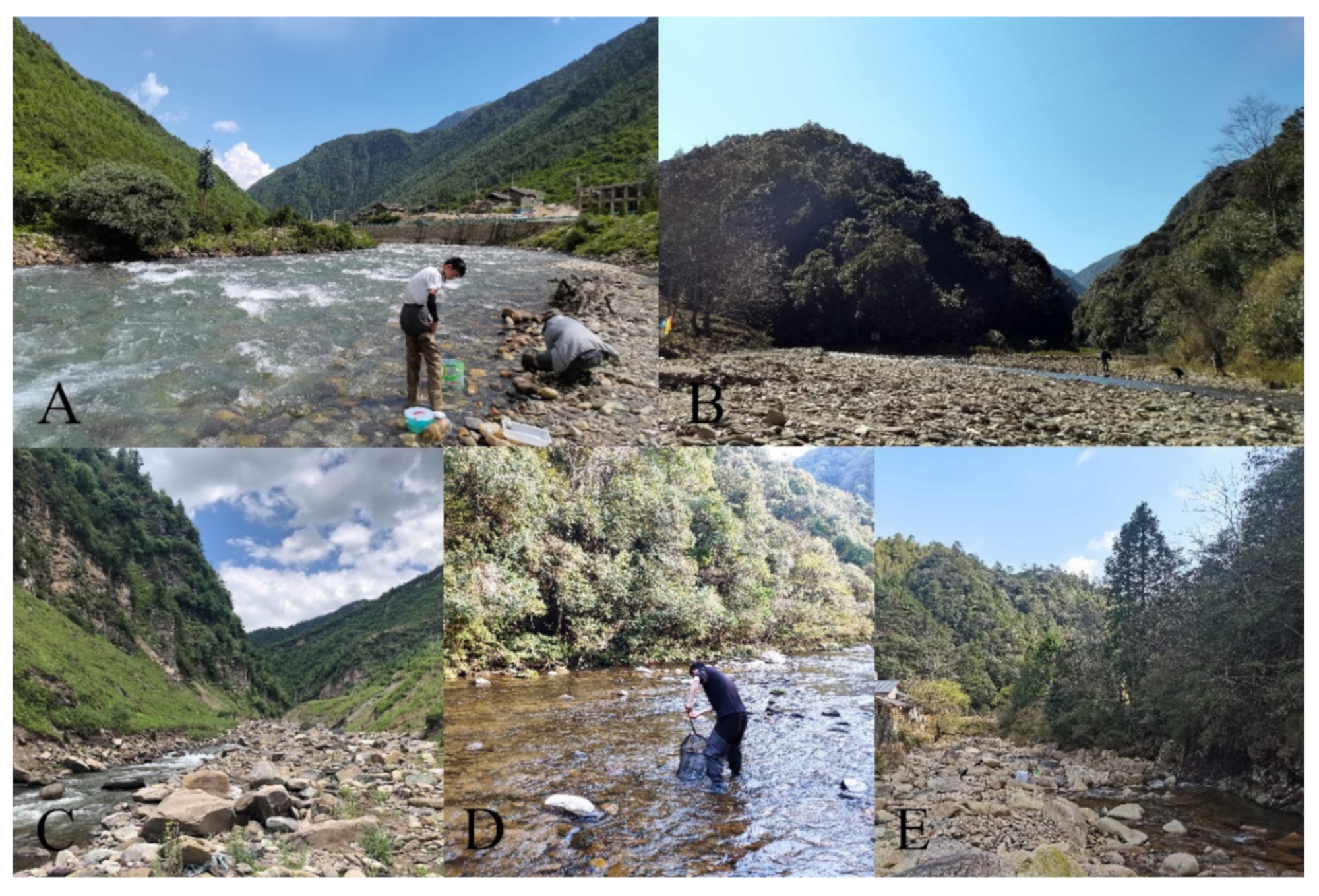 Insects 13 00593 g024