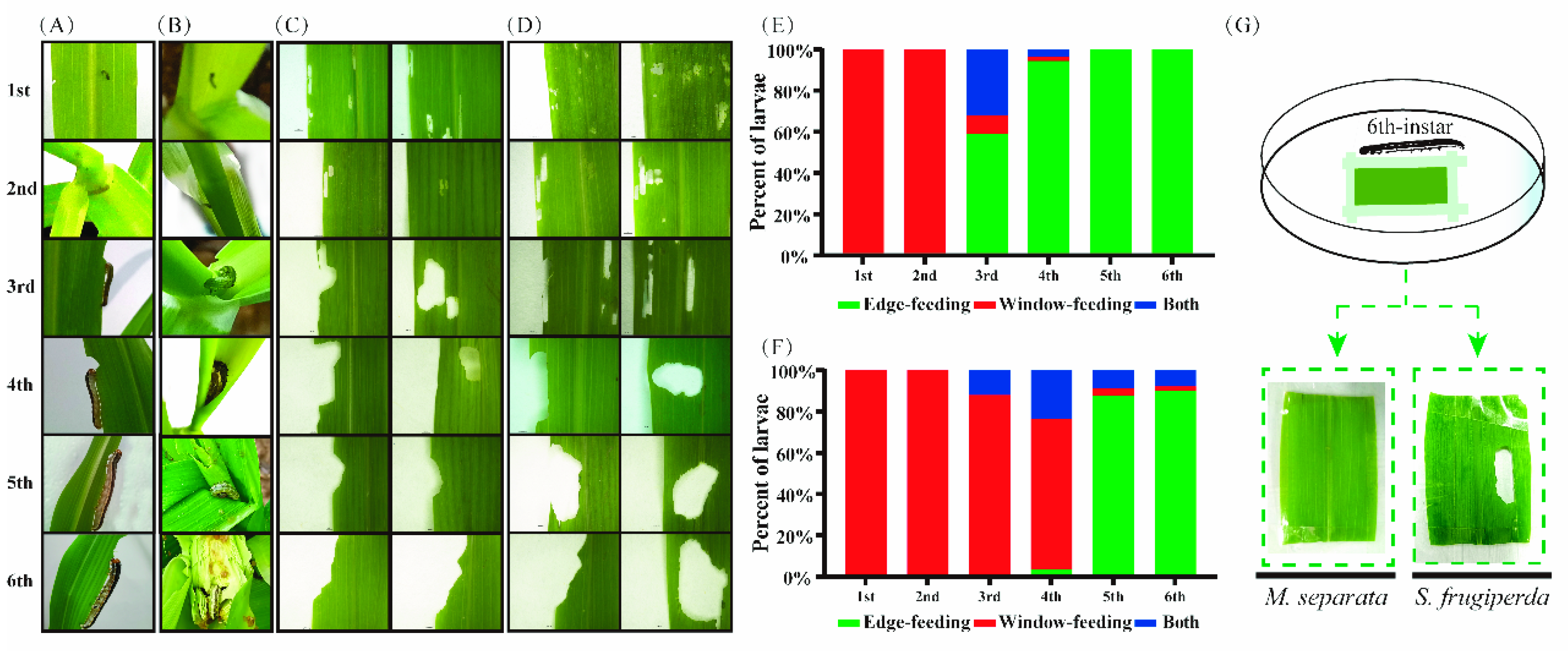Insects 13 00594 g001