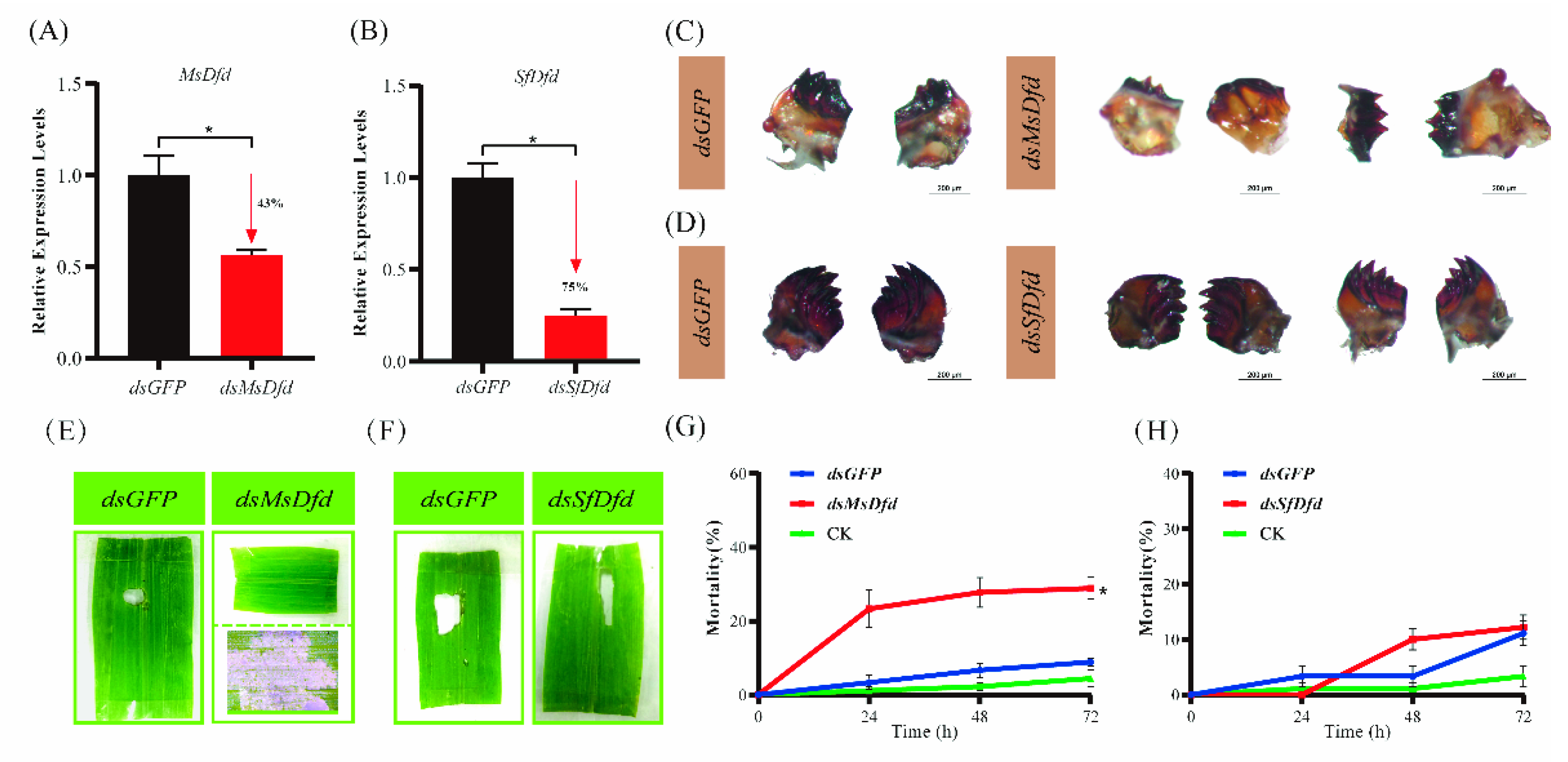 Insects 13 00594 g005