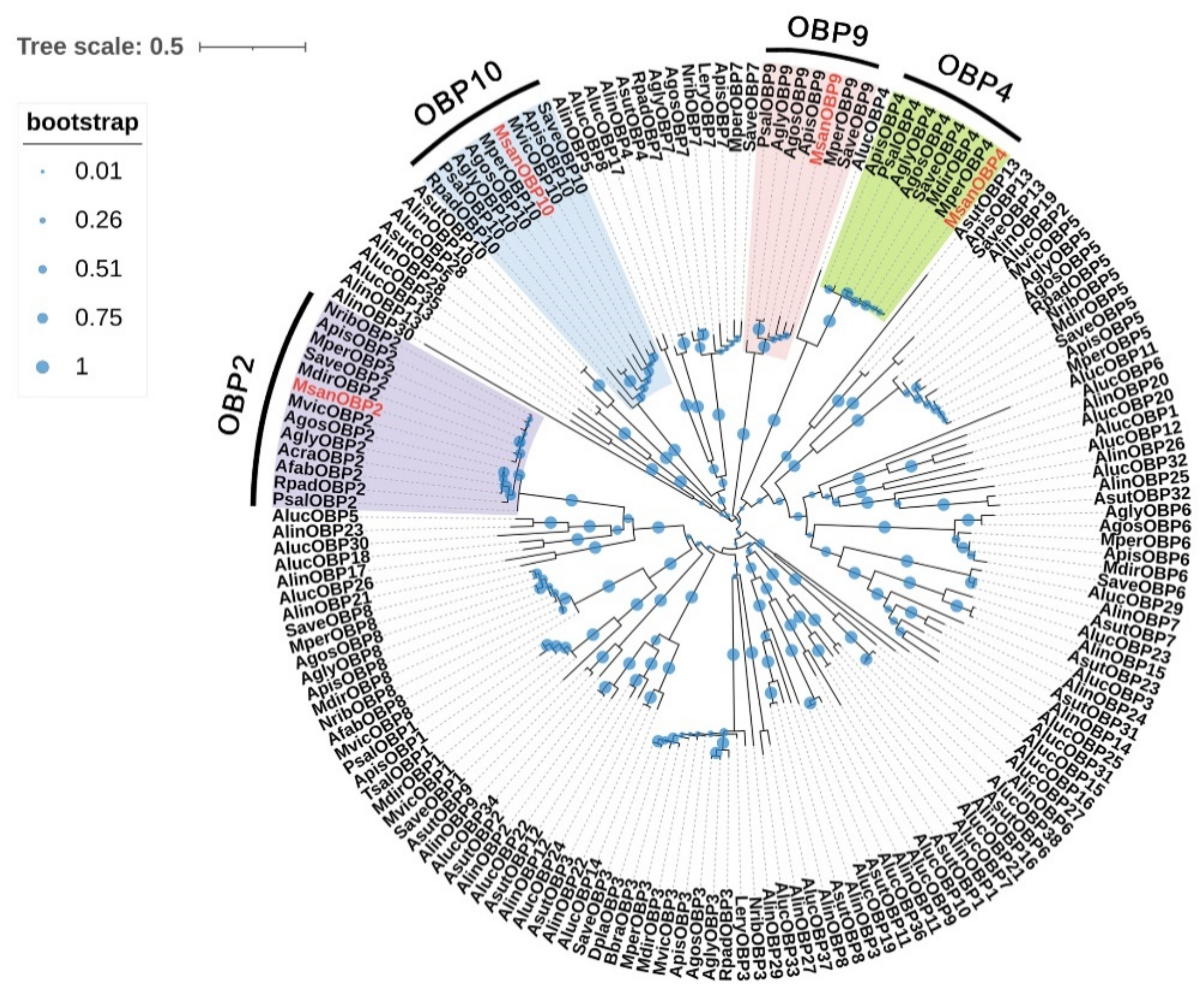 Insects 13 00597 g003