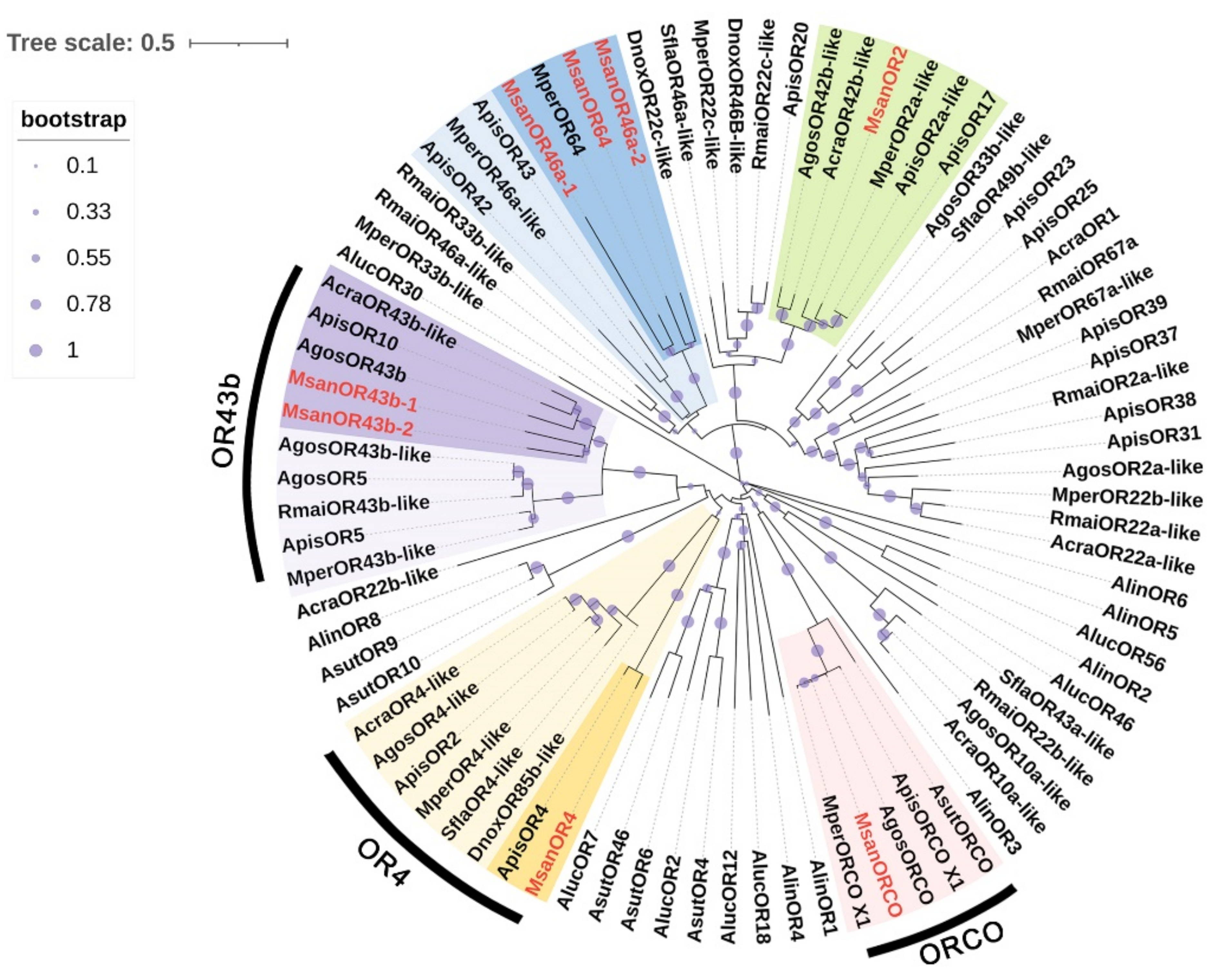 Insects 13 00597 g005