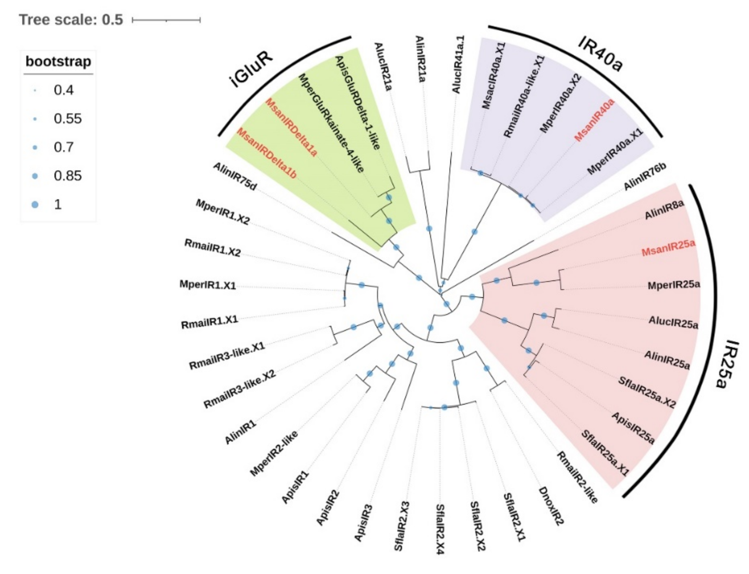Insects 13 00597 g006