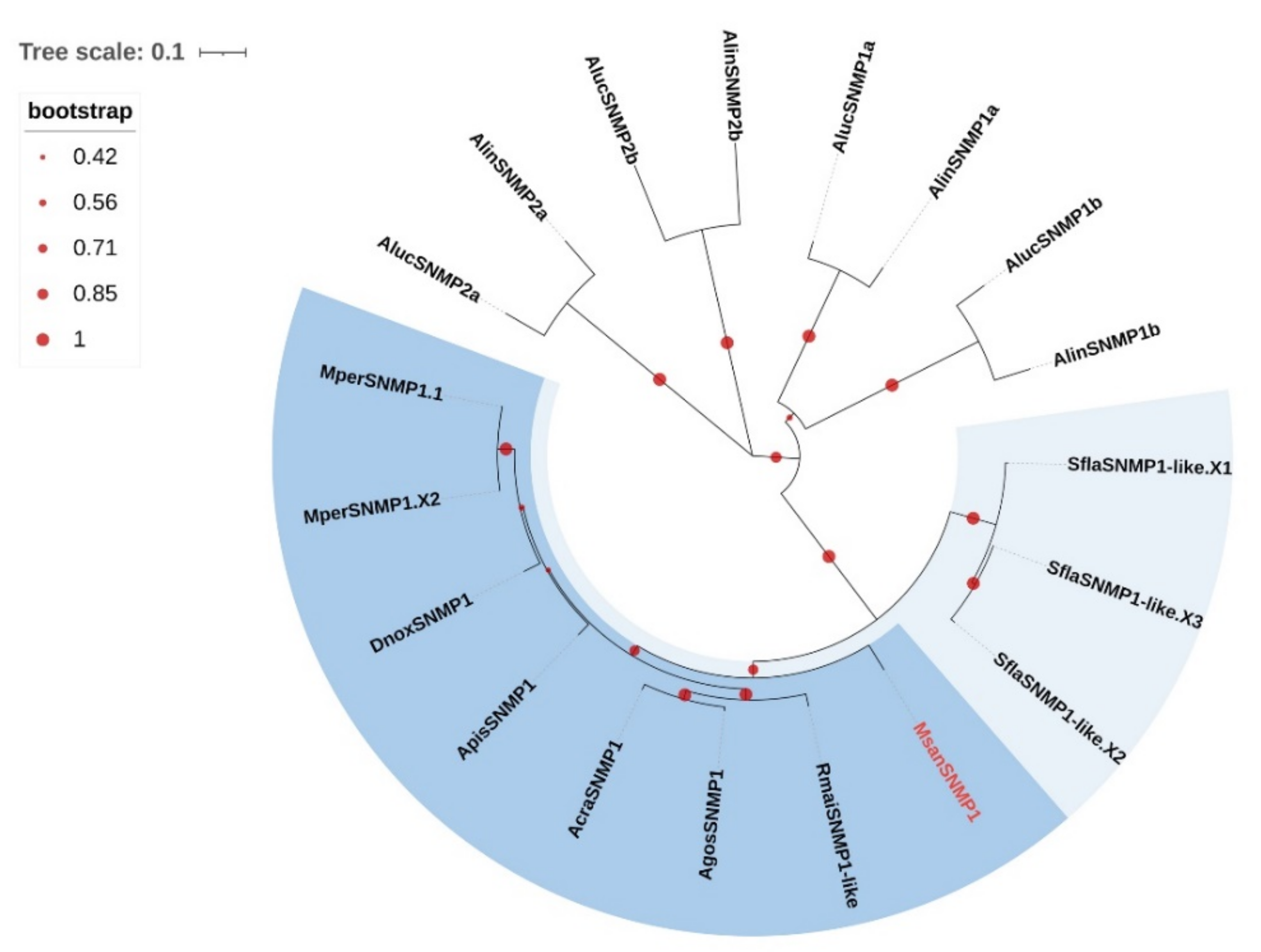 Insects 13 00597 g007