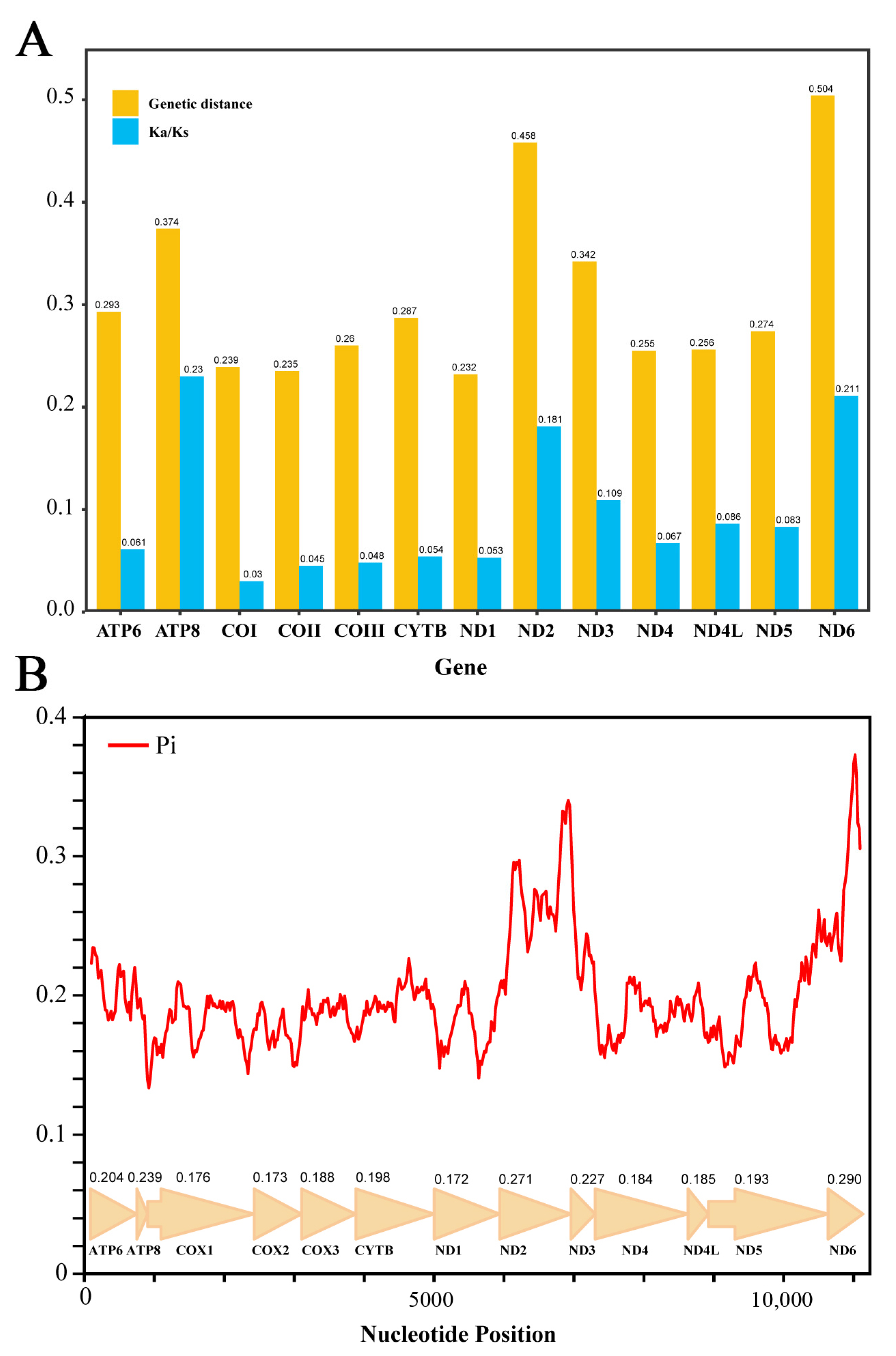 Insects 13 00599 g004