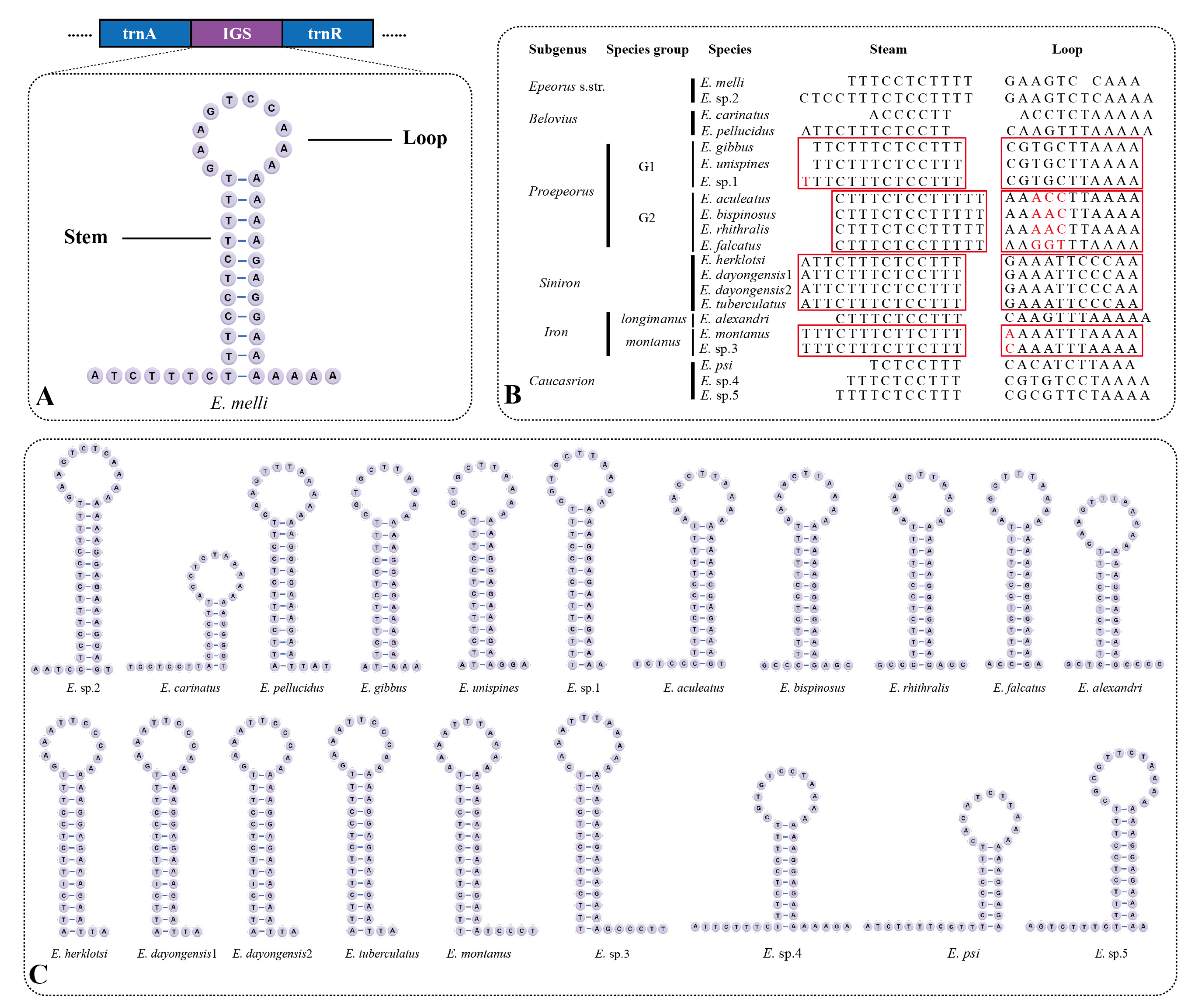 Insects 13 00599 g005