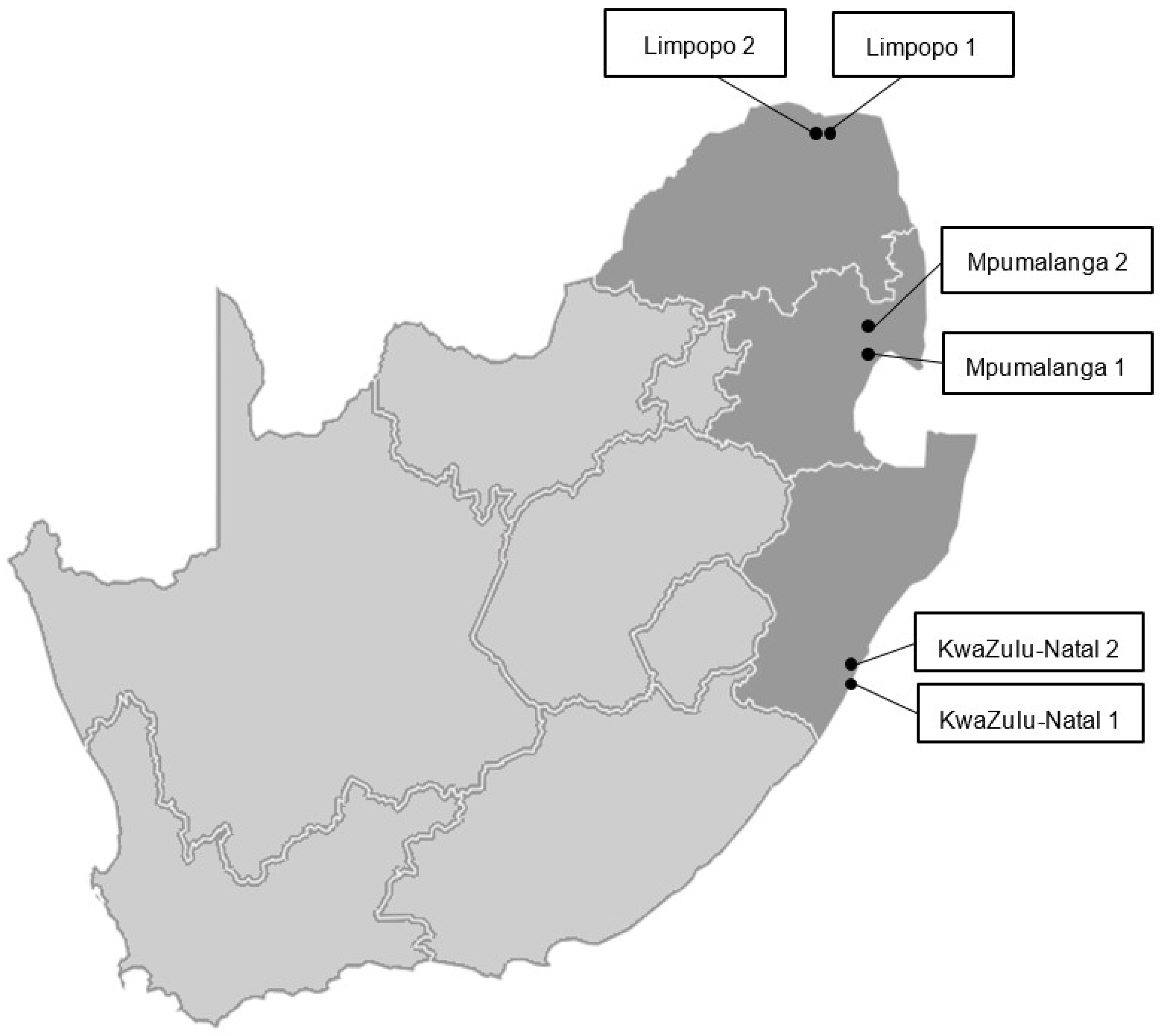 Insects 13 00601 g001