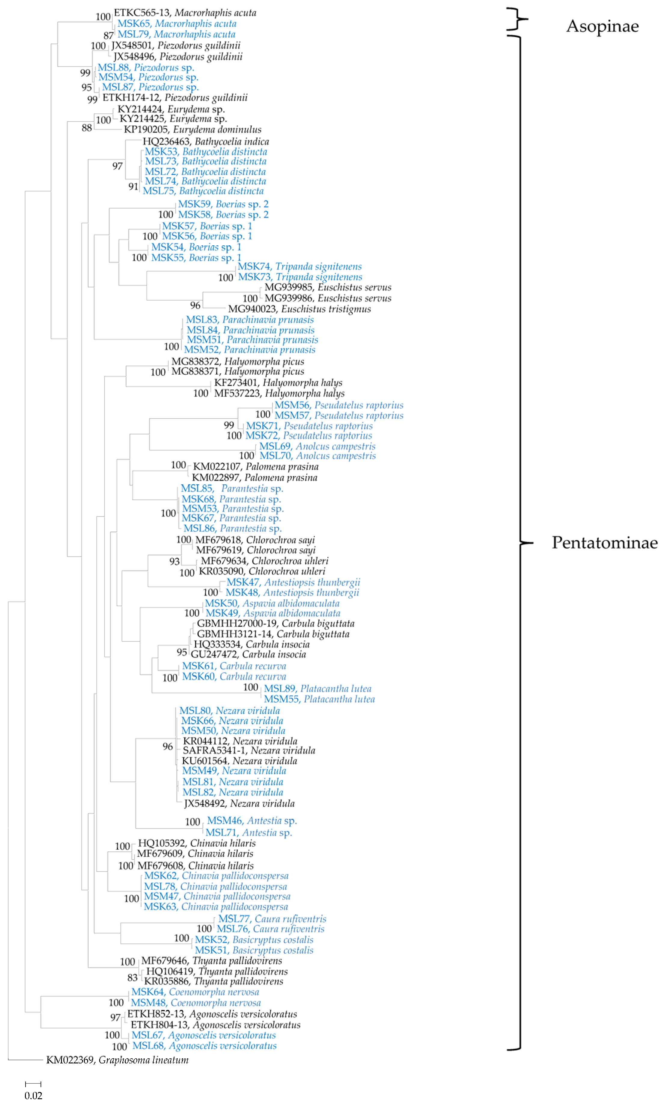 Insects 13 00601 g006