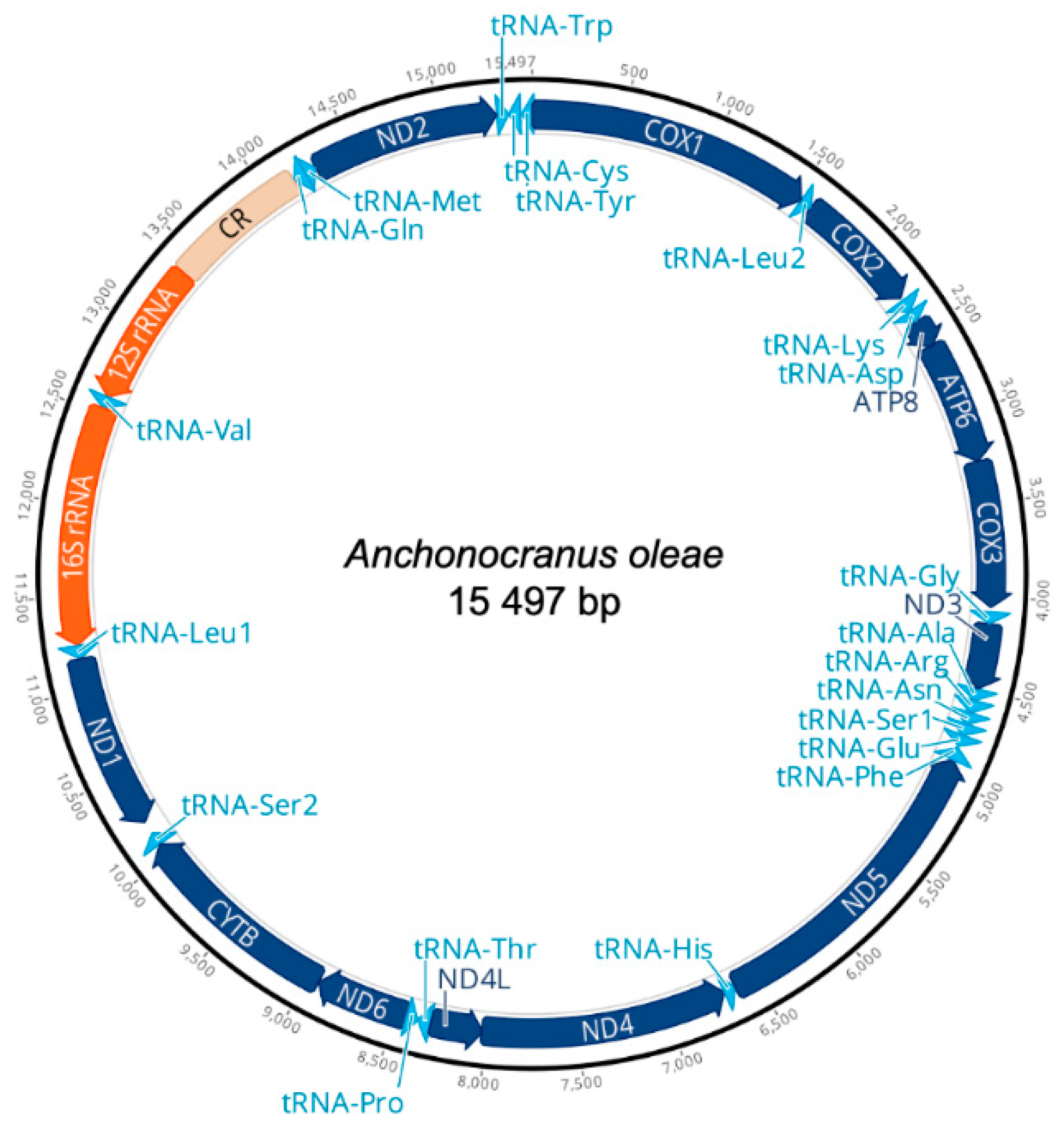 Insects 13 00607 g003