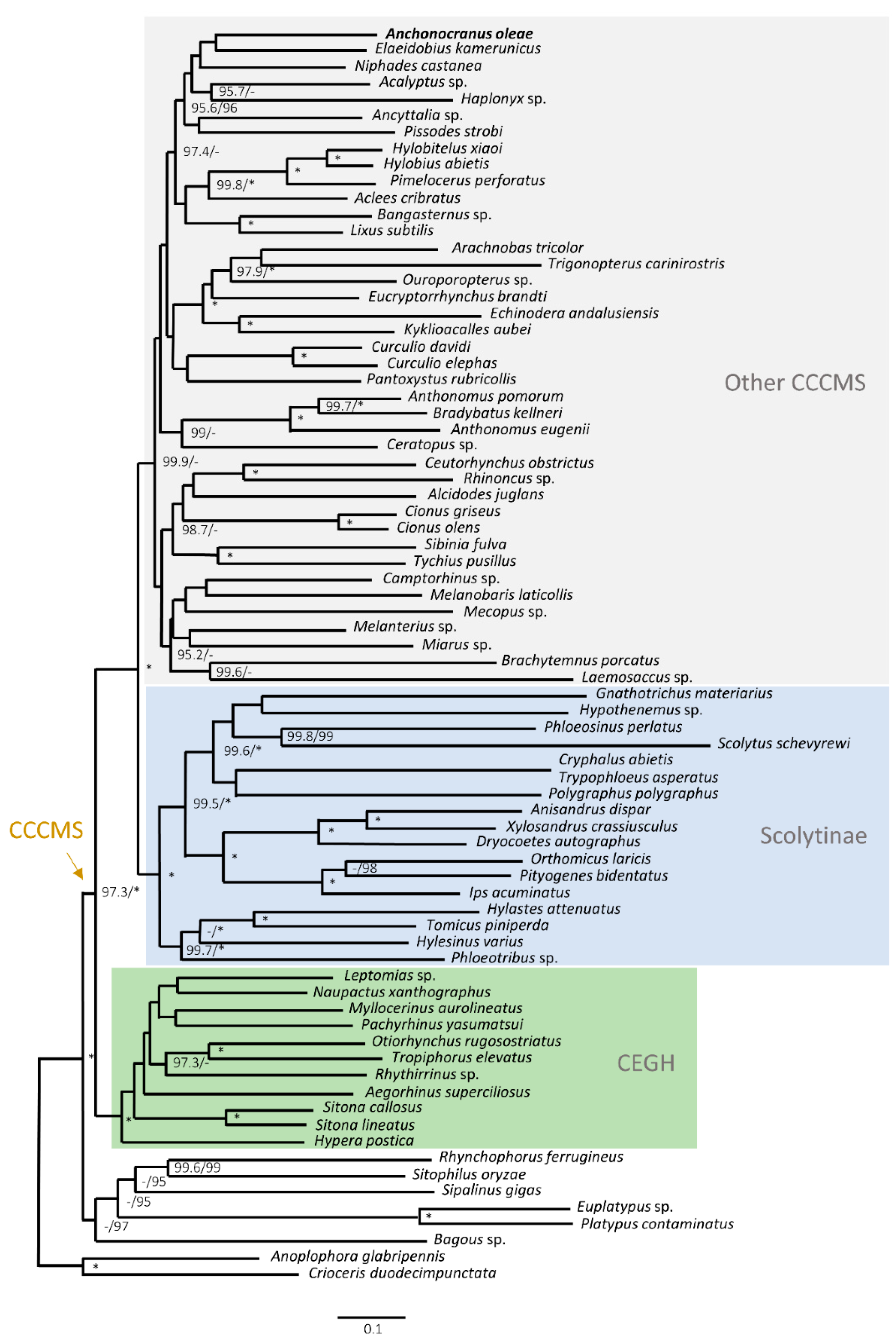 Insects 13 00607 g005